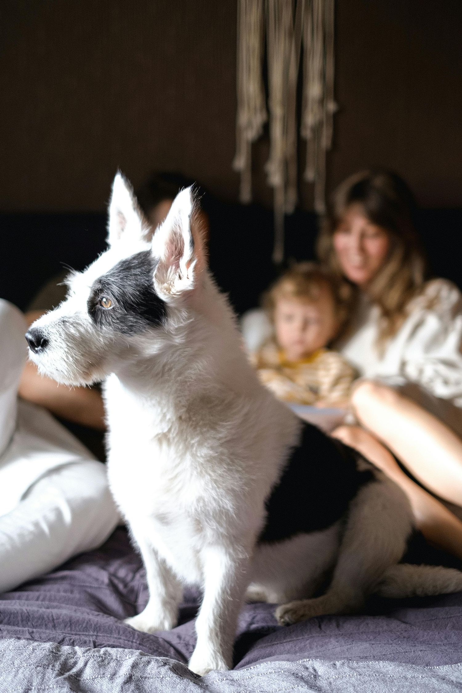 Wickenburg, Arizona cozy living room portraits, children hugging parents, warm natural light, fine-art quality.