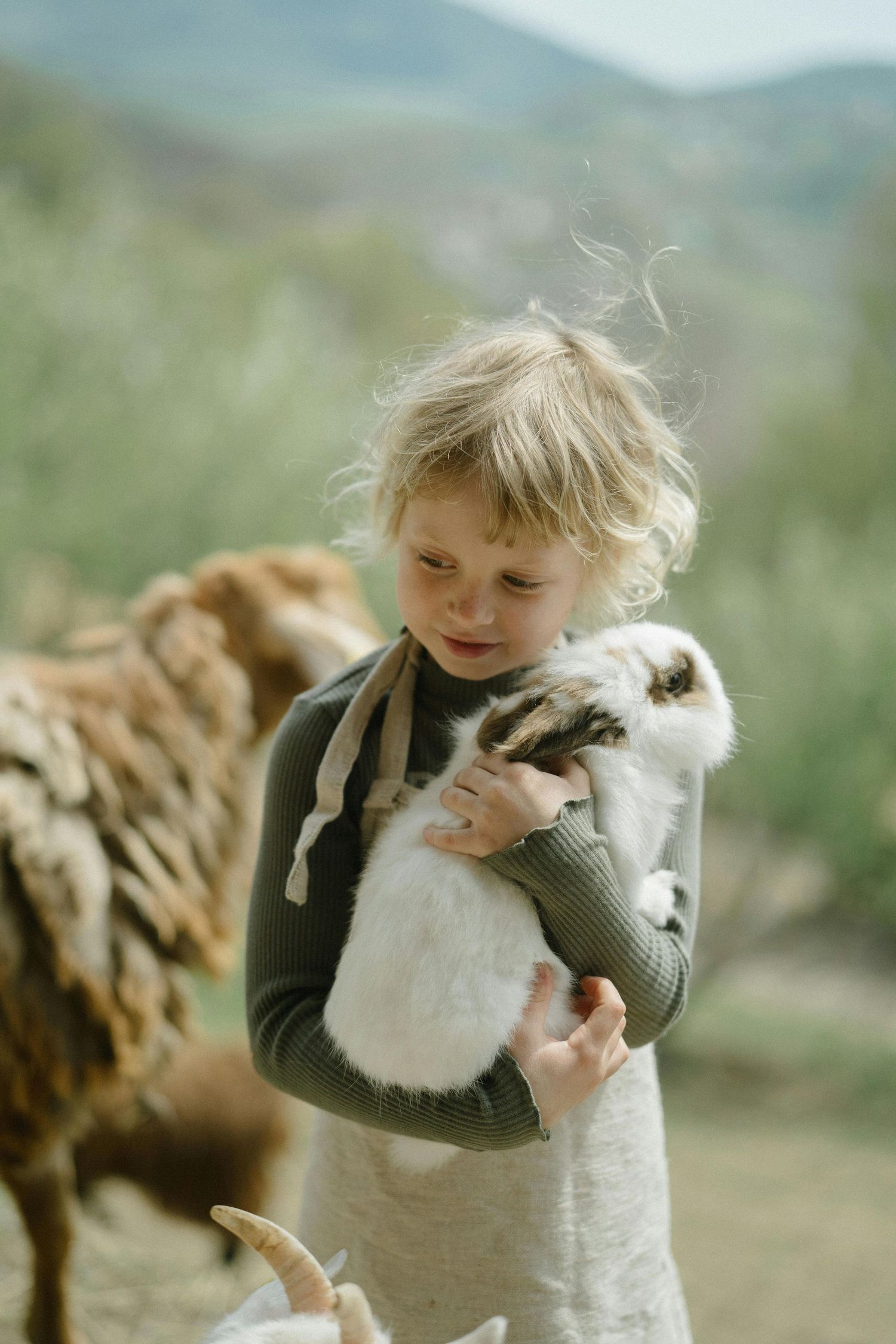 San Tan Valley Arizona Family Photography A young child in a sweater gently holds a white rabbit outdoors.