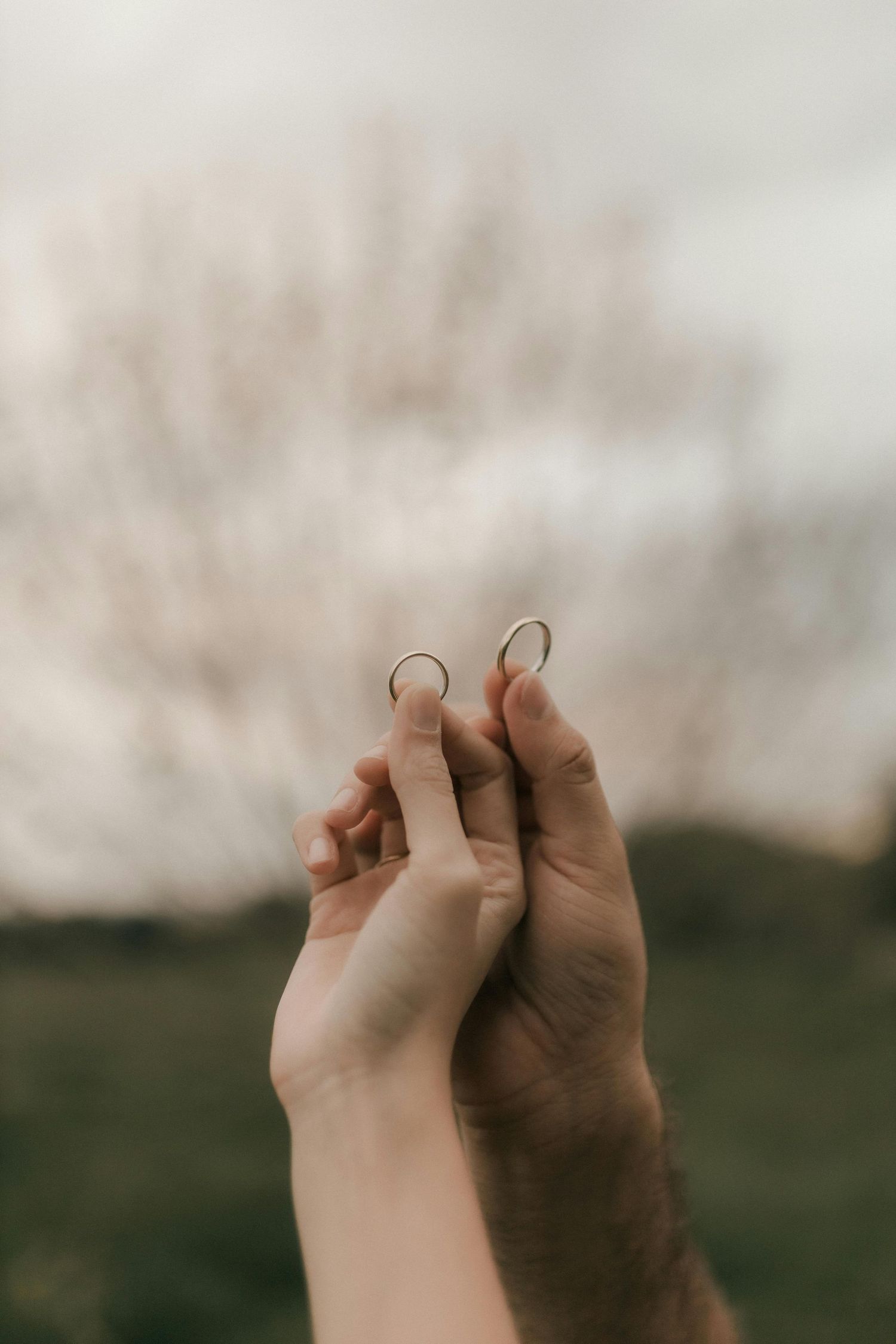Two hands with contrasting skin tones join together in unity against a blurred natural background. Best Photographer Phoenix.