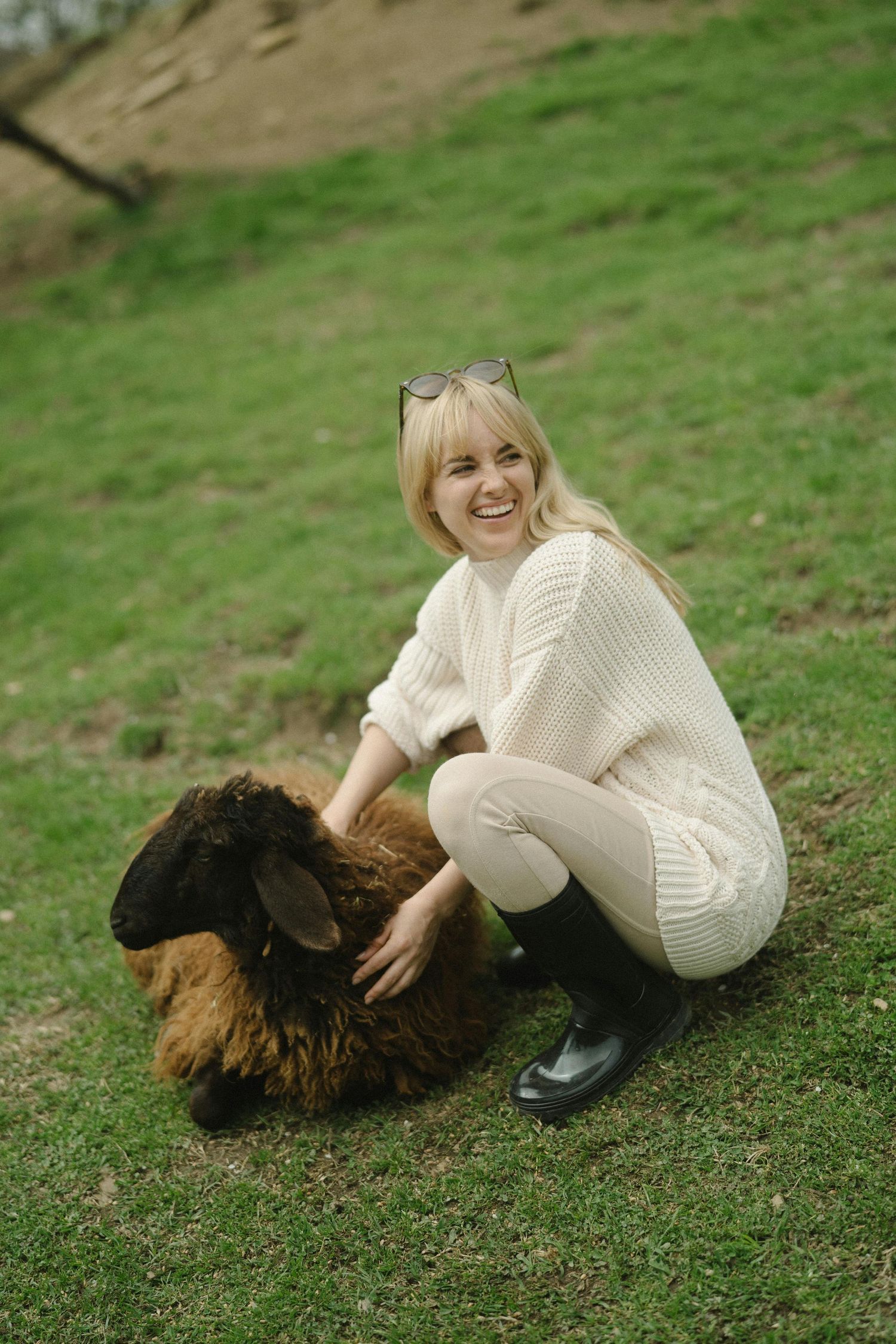 Jerome Arizona Family Photography Someone in white knitwear sits on grass playing with a brown chicken.
