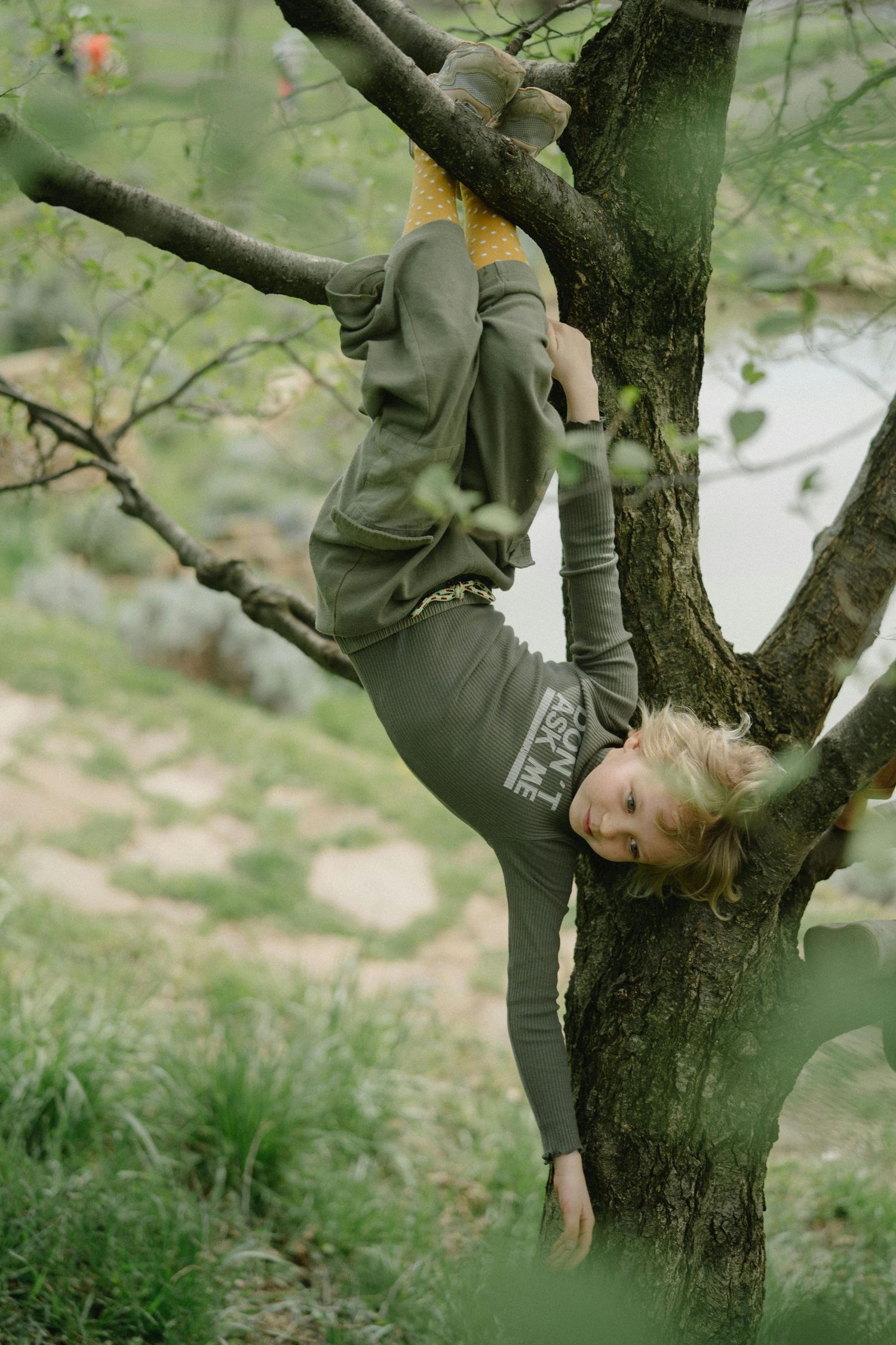 Kingman Arizona Family Photography  A child climbing and playing in a tree branch over water.
