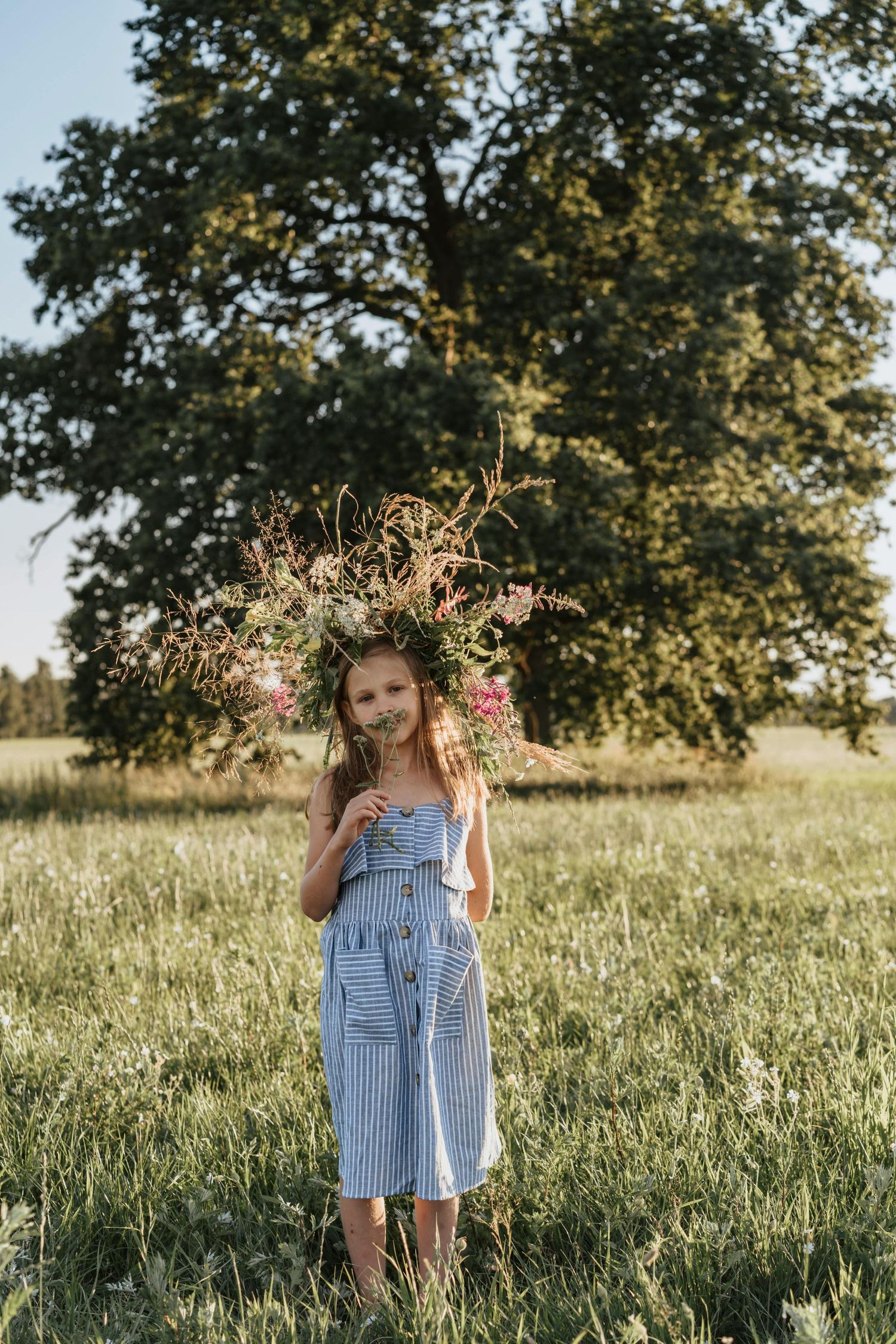 Children's outdoor photography Flagstaff Arizona sunny meadow scene with tall grass and trees frames someone in a blue striped summer dress.