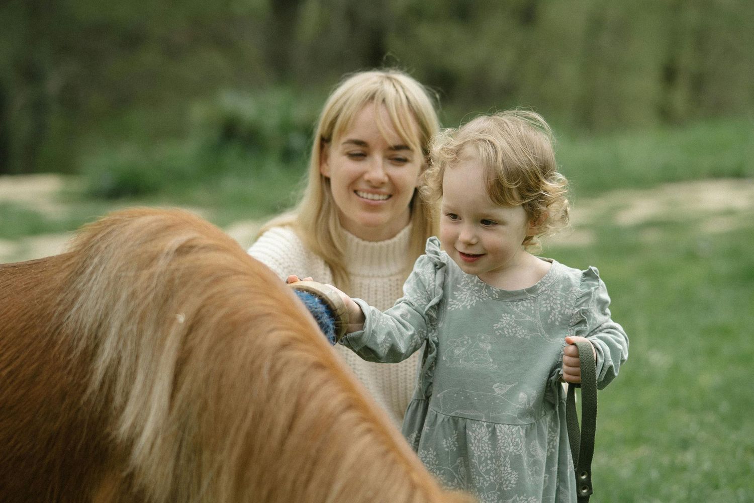 San Tan Valley Arizona Family Photography A joyful outdoor moment with a friendly brown horse in a green field.