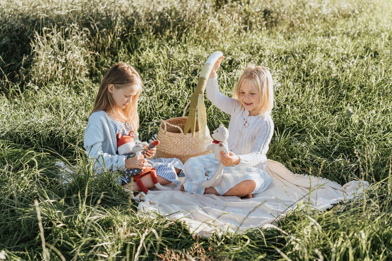 Payson pine forest Arizona People enjoying a picnic on a white blanket in a sunny meadow with tall grass.