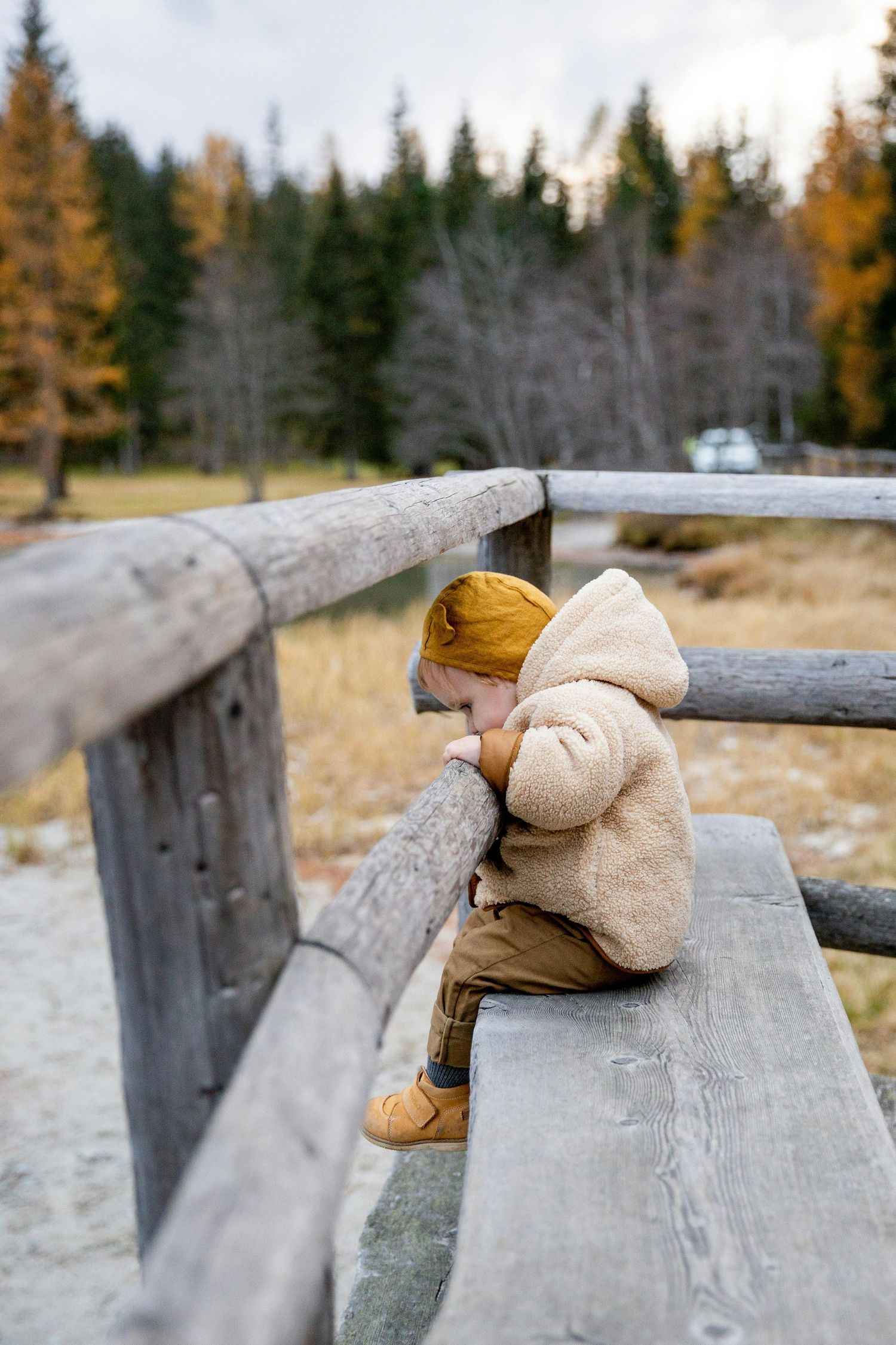 Outdoor Family Photography. A small teddy bear sits perched on a wooden fence railing with autumn trees in the background.