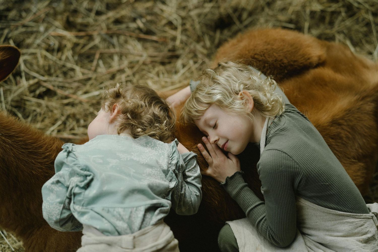 San Tan Valley Arizona Family Photography A peaceful moment of rest on hay with a cat in a rustic farm setting.