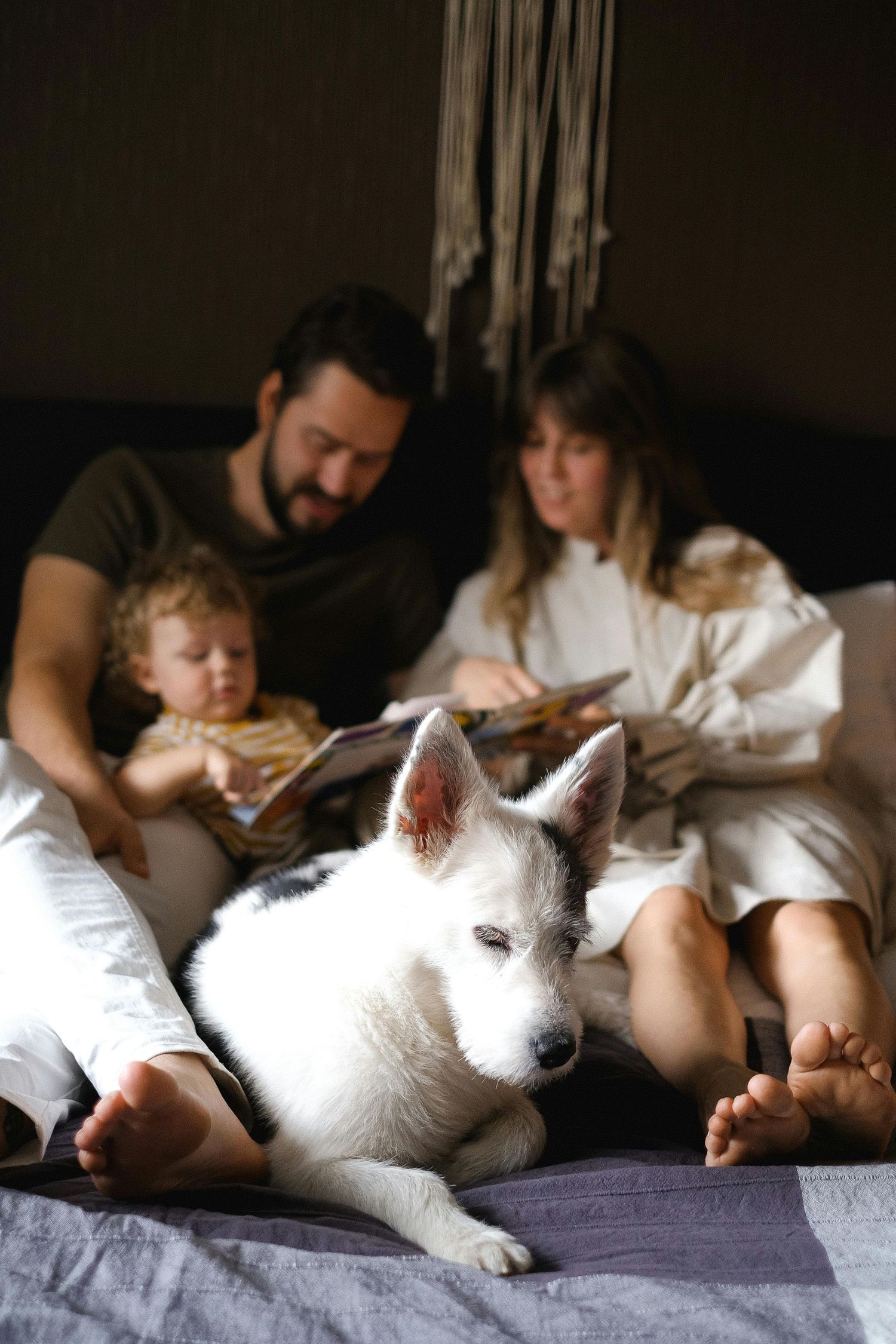 Snowflake, Arizona afternoon tea at home, kids and parents smiling together, captured by luxury Arizona family photographer.