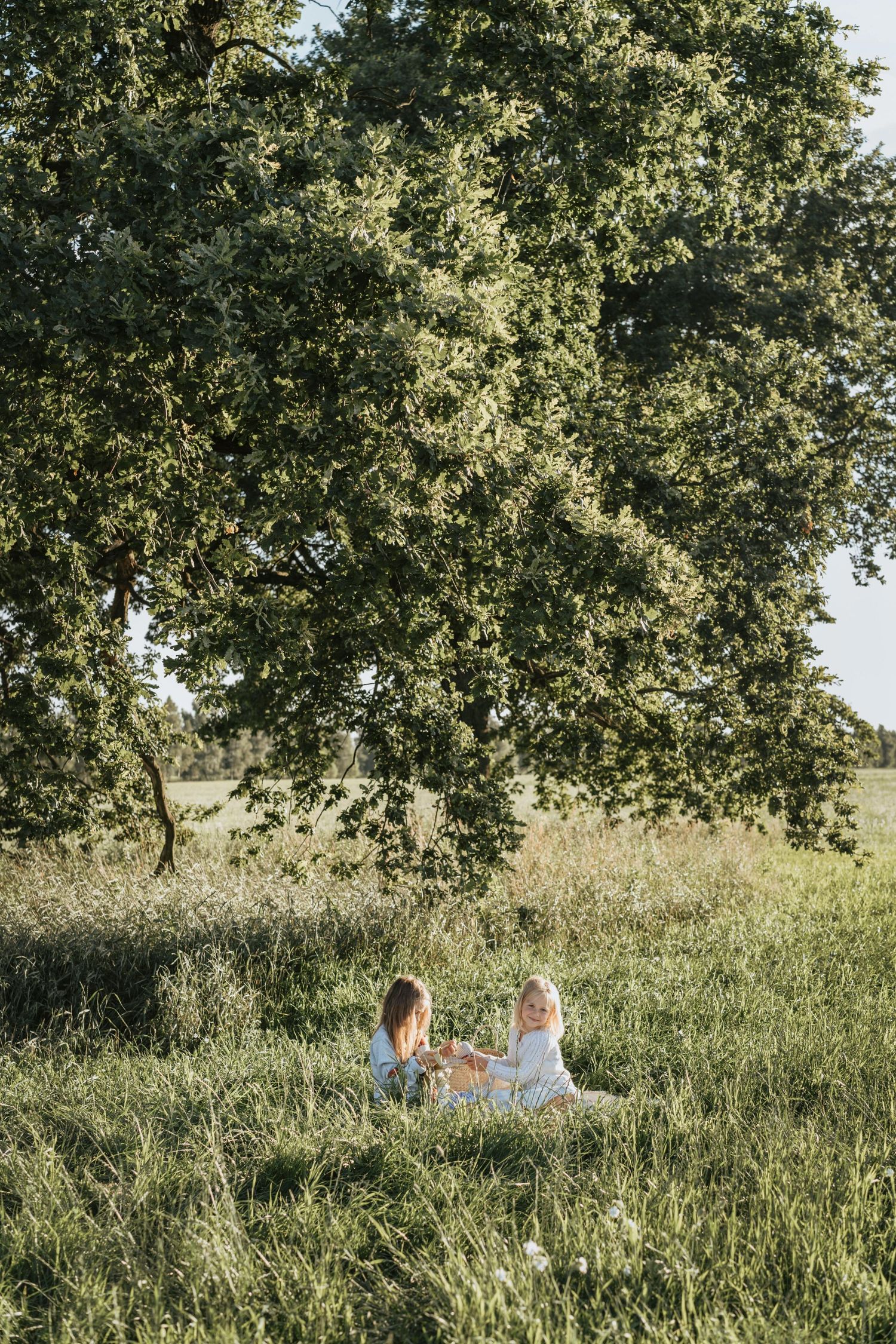 A peaceful meadow scene with tall grass and trees stretches across a panoramic view. Peoria Vistancia