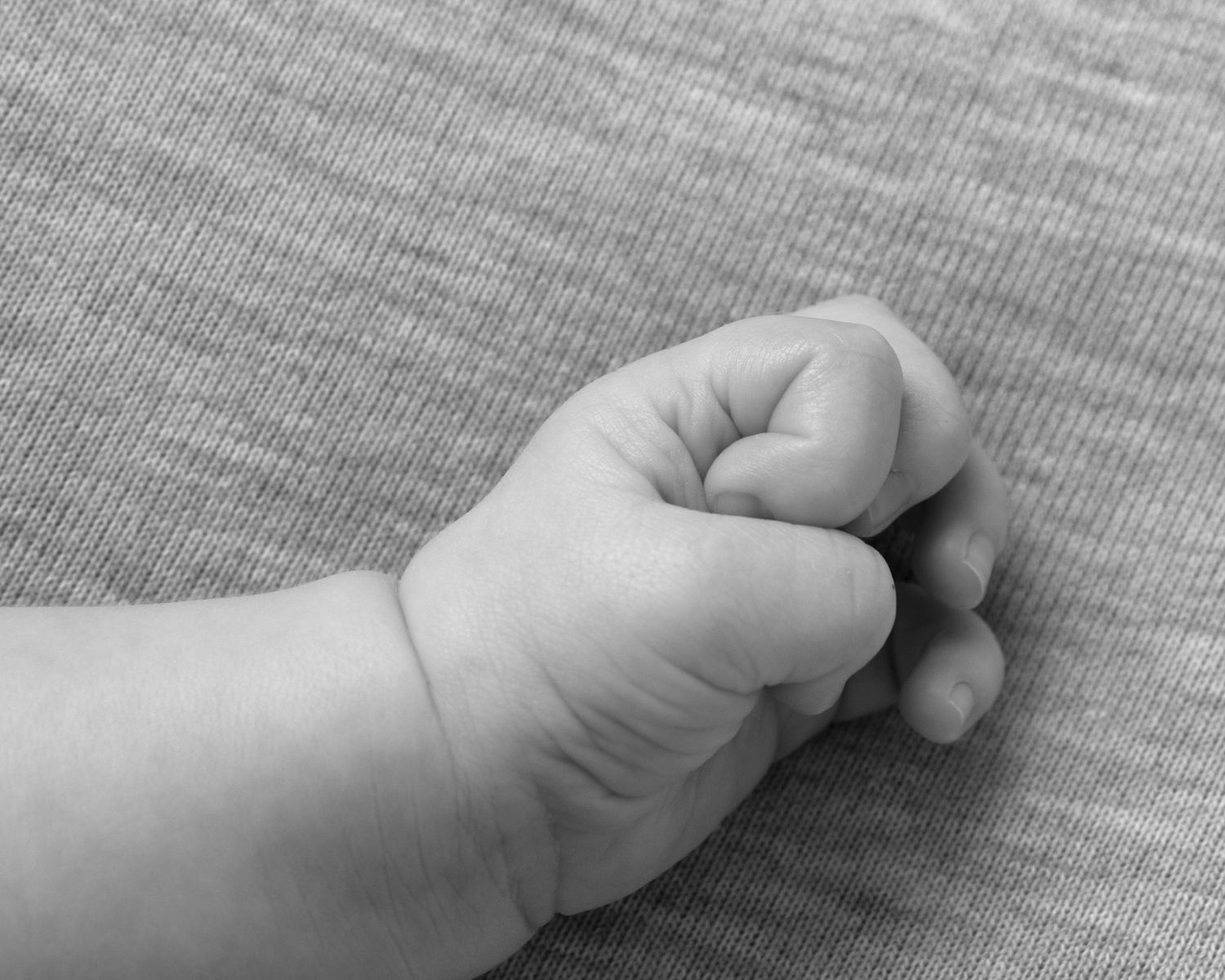 Black and white newborn detail image of baby hand