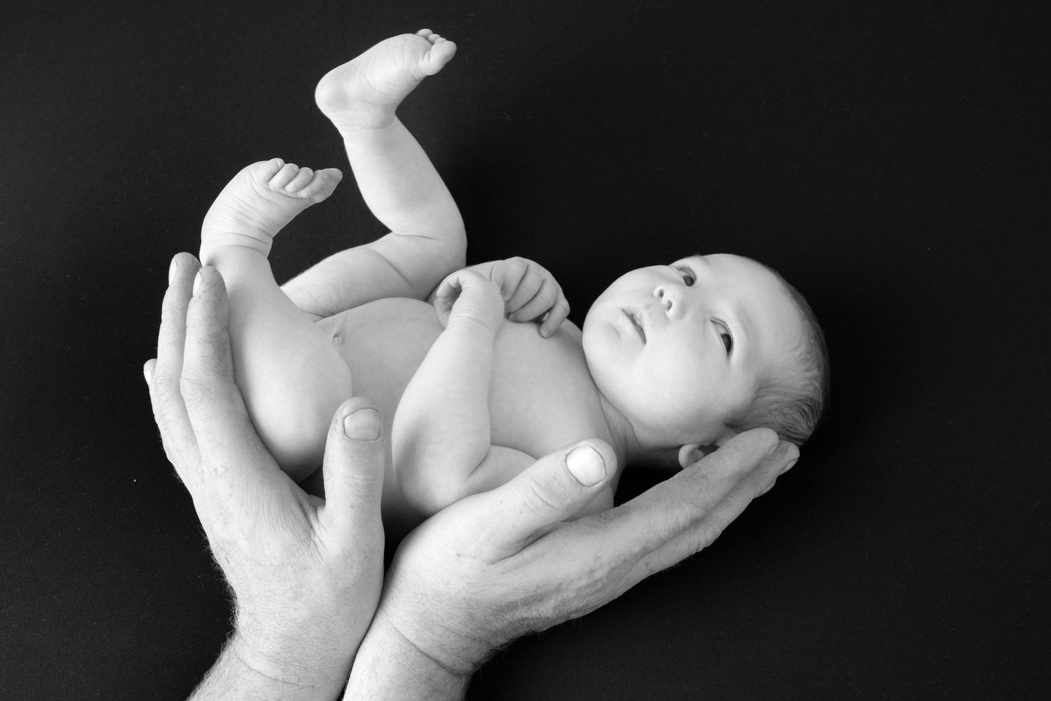 Black and white image of a baby safely posed in parents hands