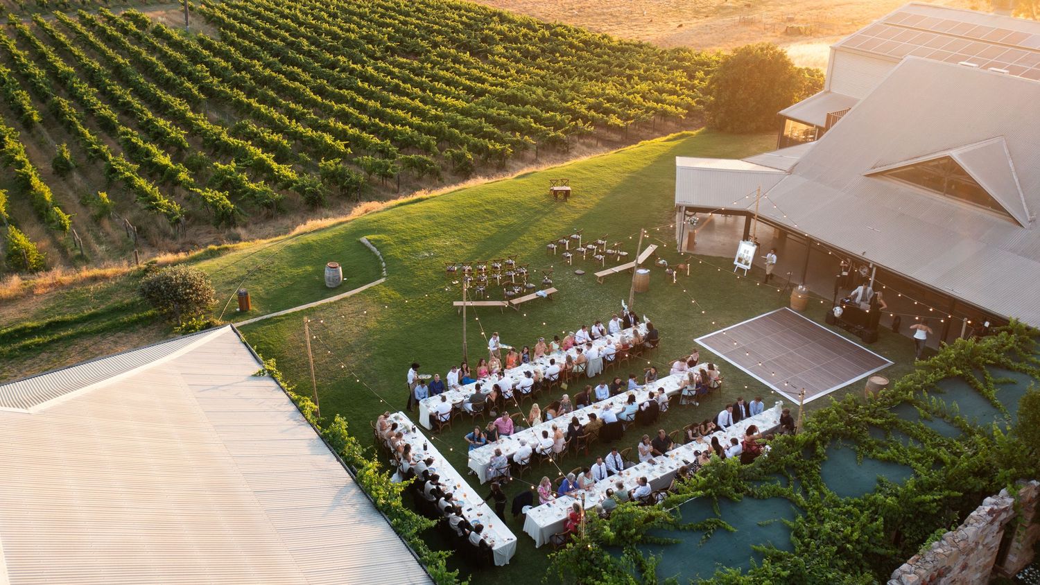Aerial panorama of a vineyard wedding reception with long tables set up among grapevines at sunset.