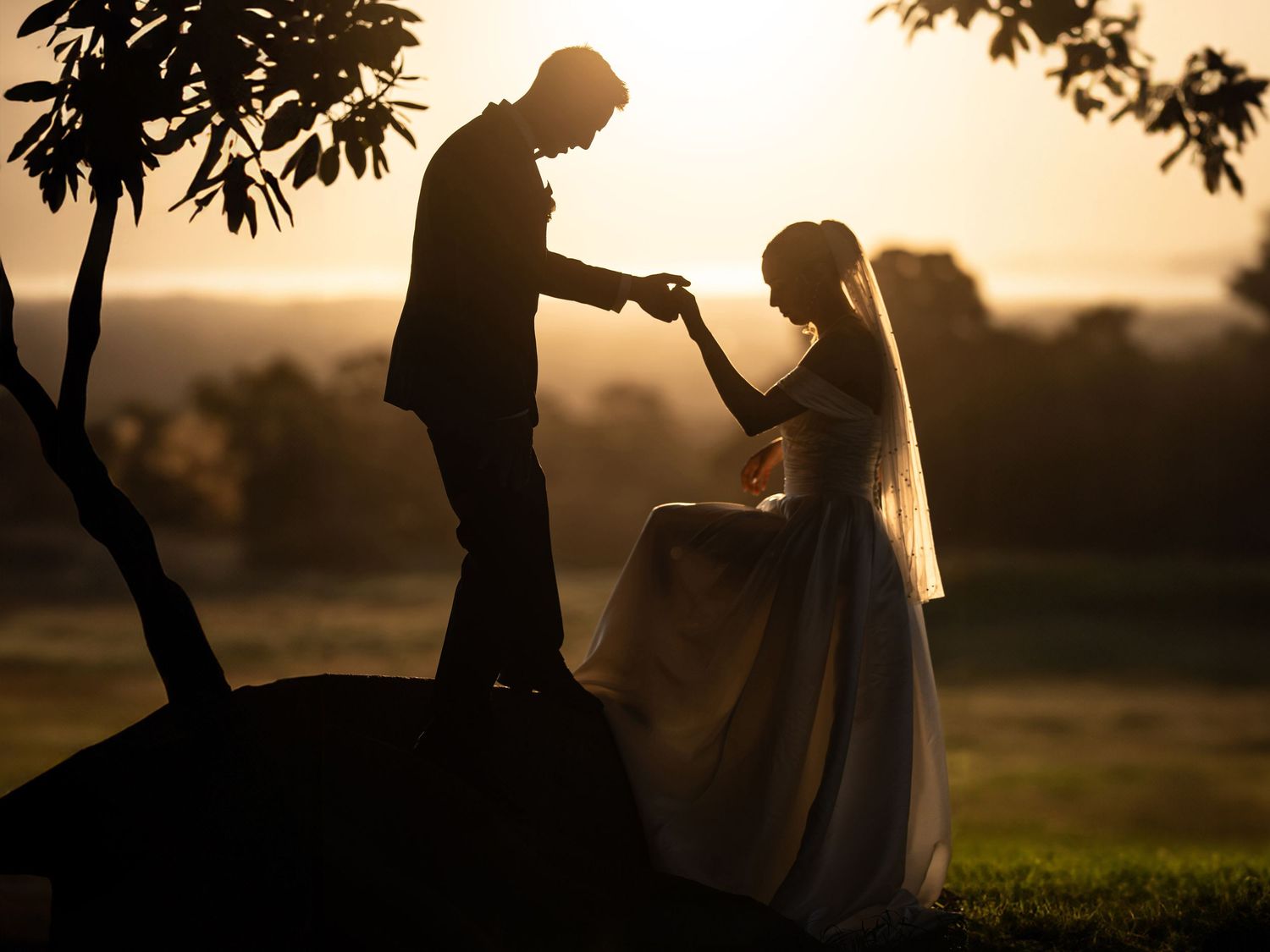 Silhouette of bride and groom holding hands at golden sunset near a tree in a romantic outdoor wedding scene.