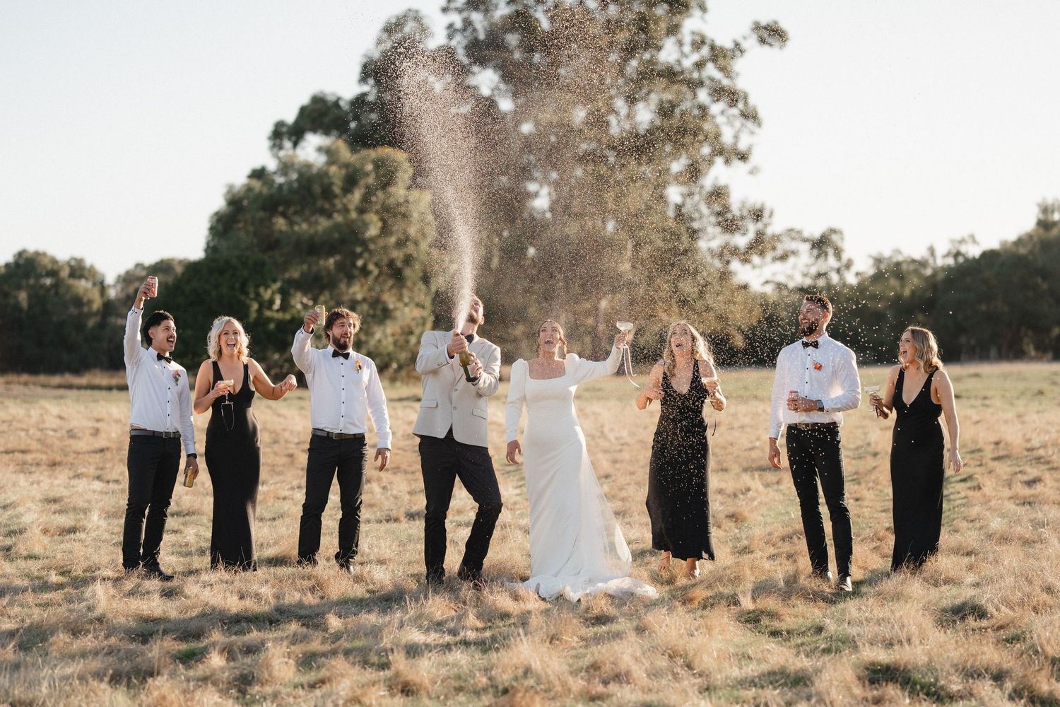 Wedding party celebrates in golden field, popping champagne bottle, bride in white gown with bridesmaids and groomsmen in black attire.