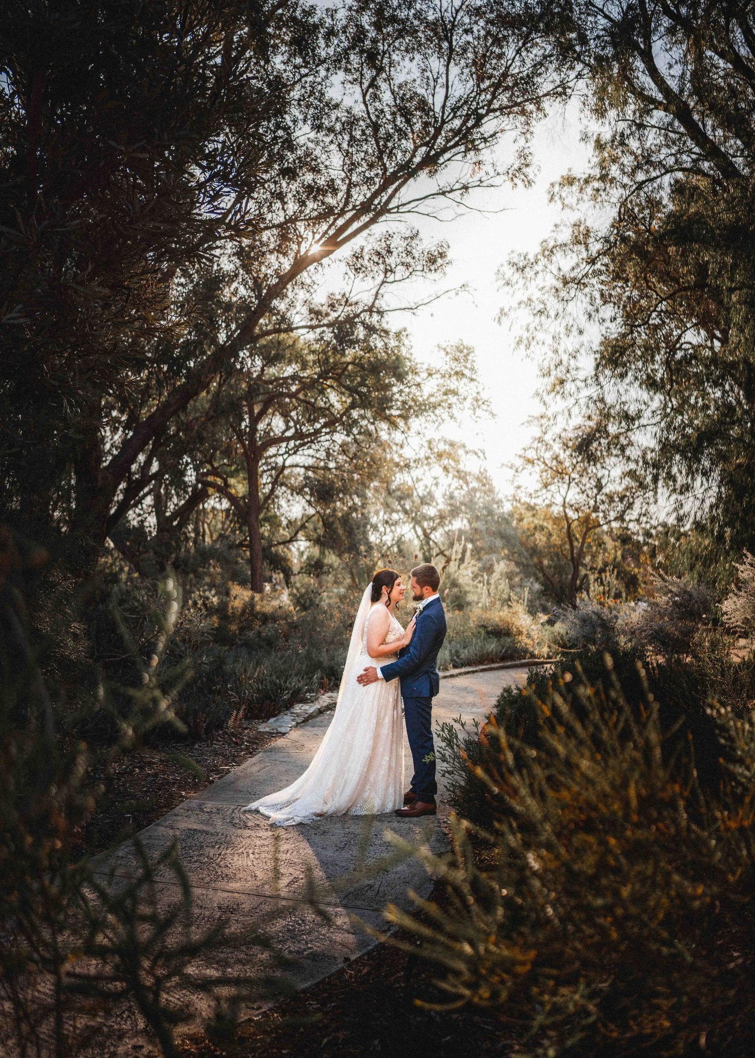Tree-lined pathway with golden sunlight filtering through branches frames romantic wedding scene.