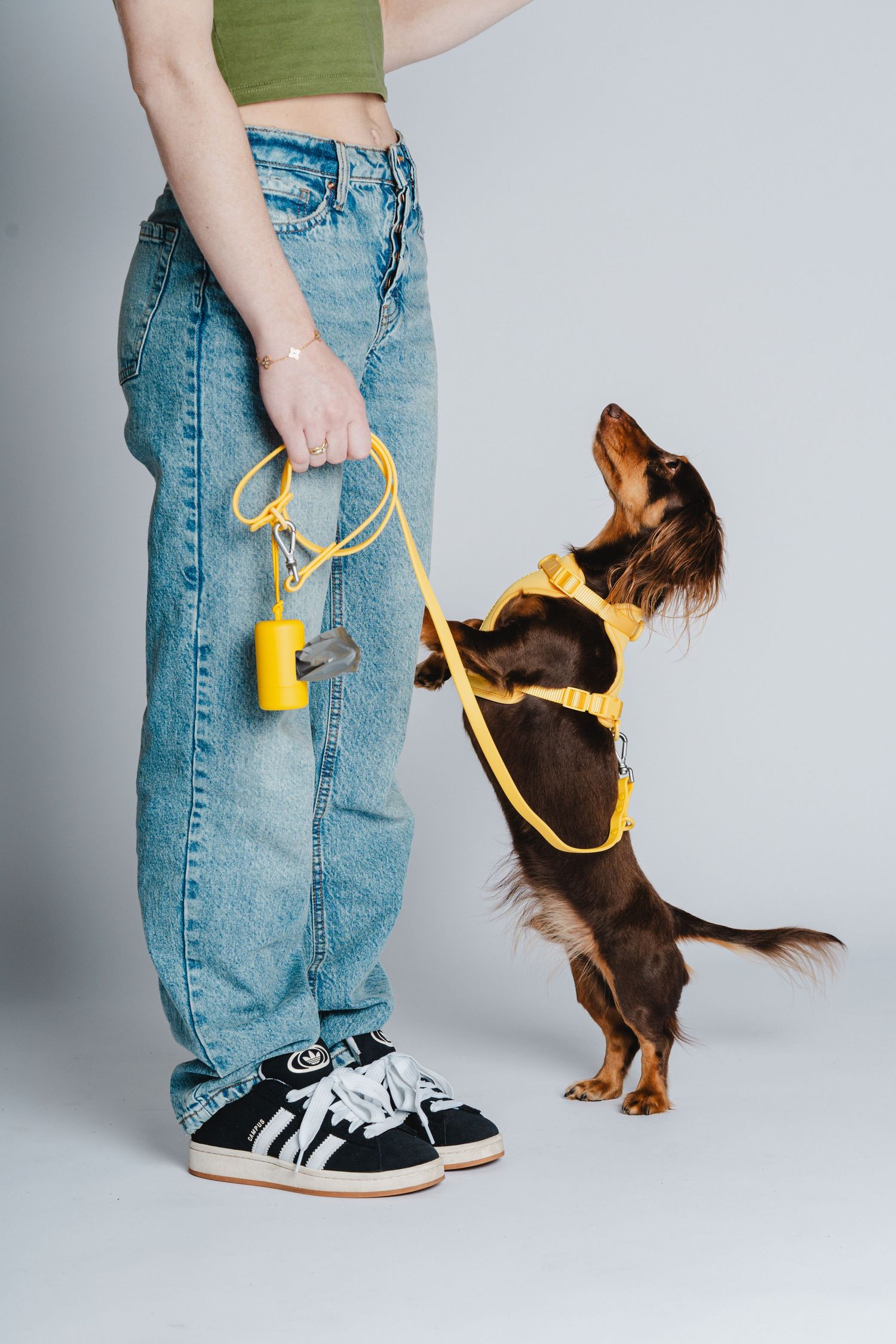 Dachshund in yellow harness jumping up beside person wearing jeans.