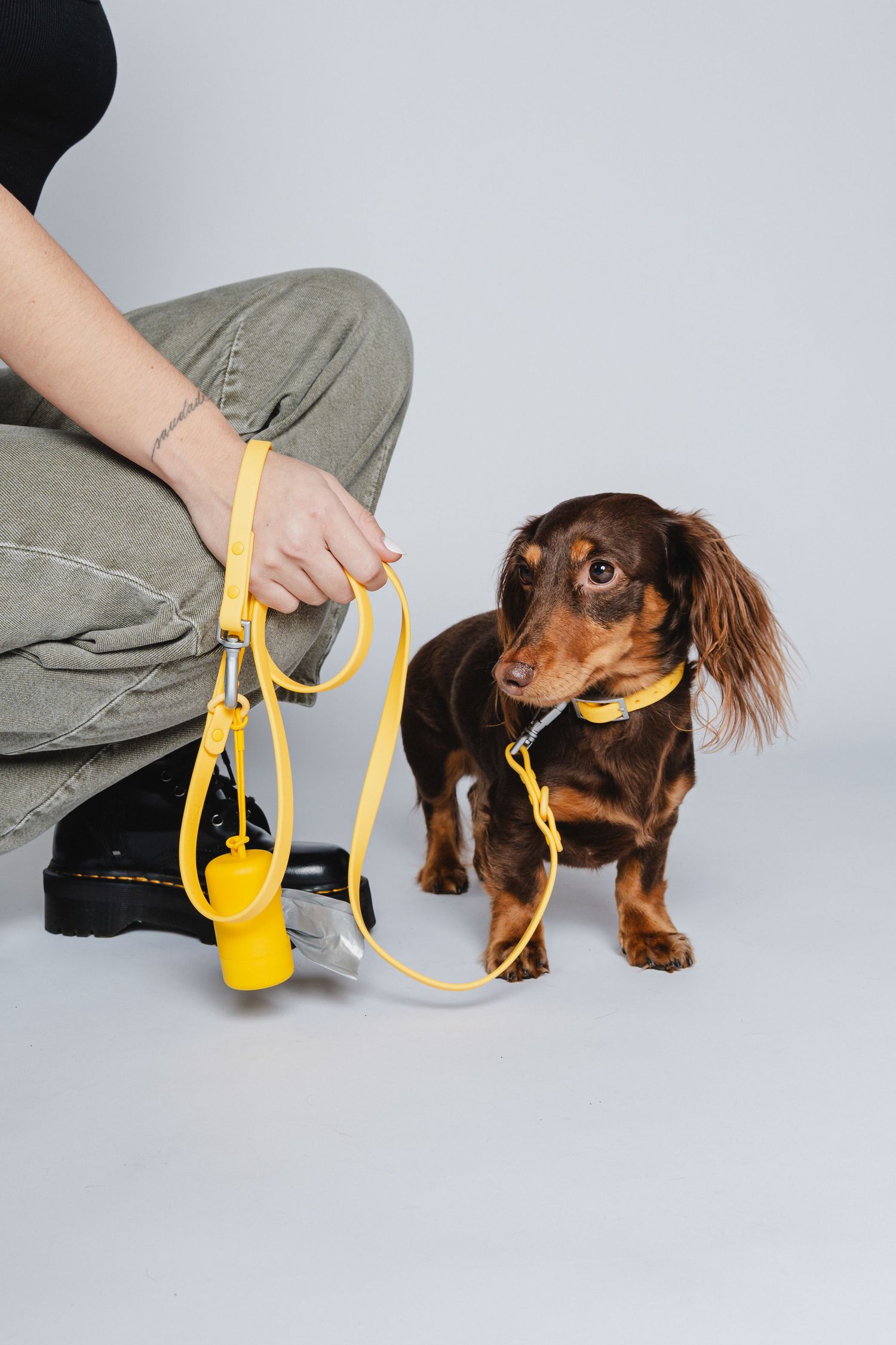 Dachshund on leash with yellow harness standing next to person in casual wear.
