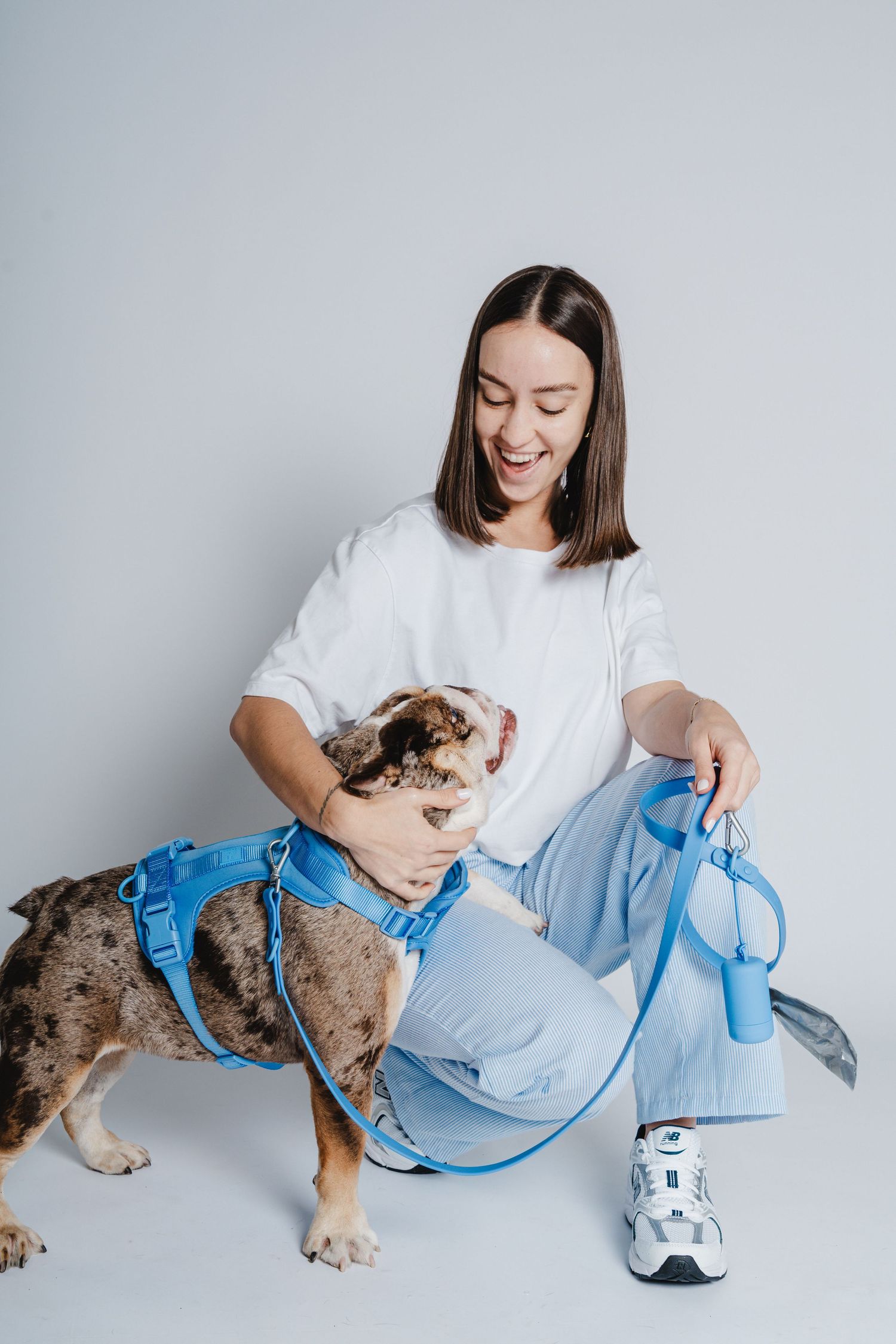 Dog wearing blue clothing playing and interacting on white background.
