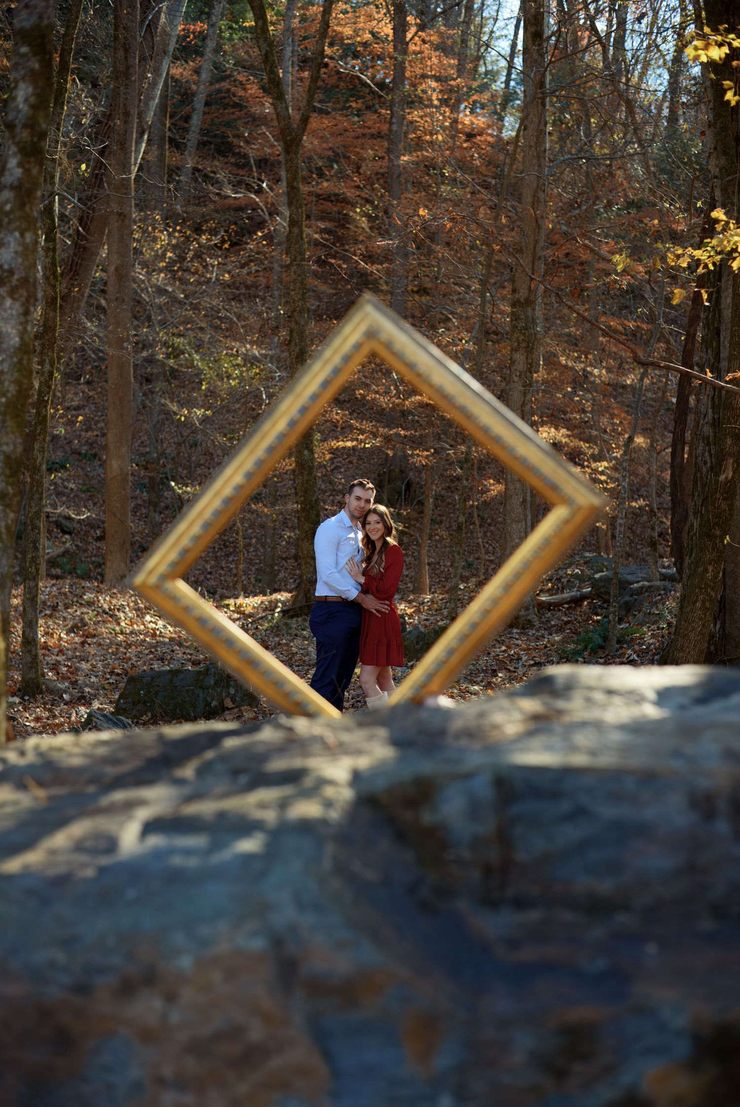 Creative photo sequence with golden frame moving across wooded outdoor scene.