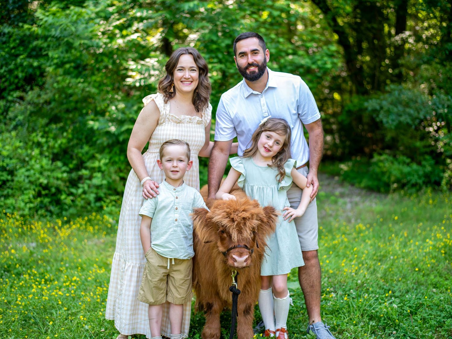 Family portrait in a green summer garden with a fluffy golden-brown cow.