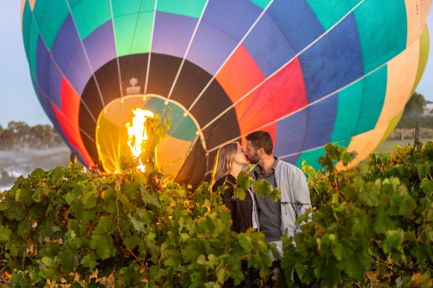Hot air balloons glow vibrantly against a vineyard backdrop during a twilight balloon festival.