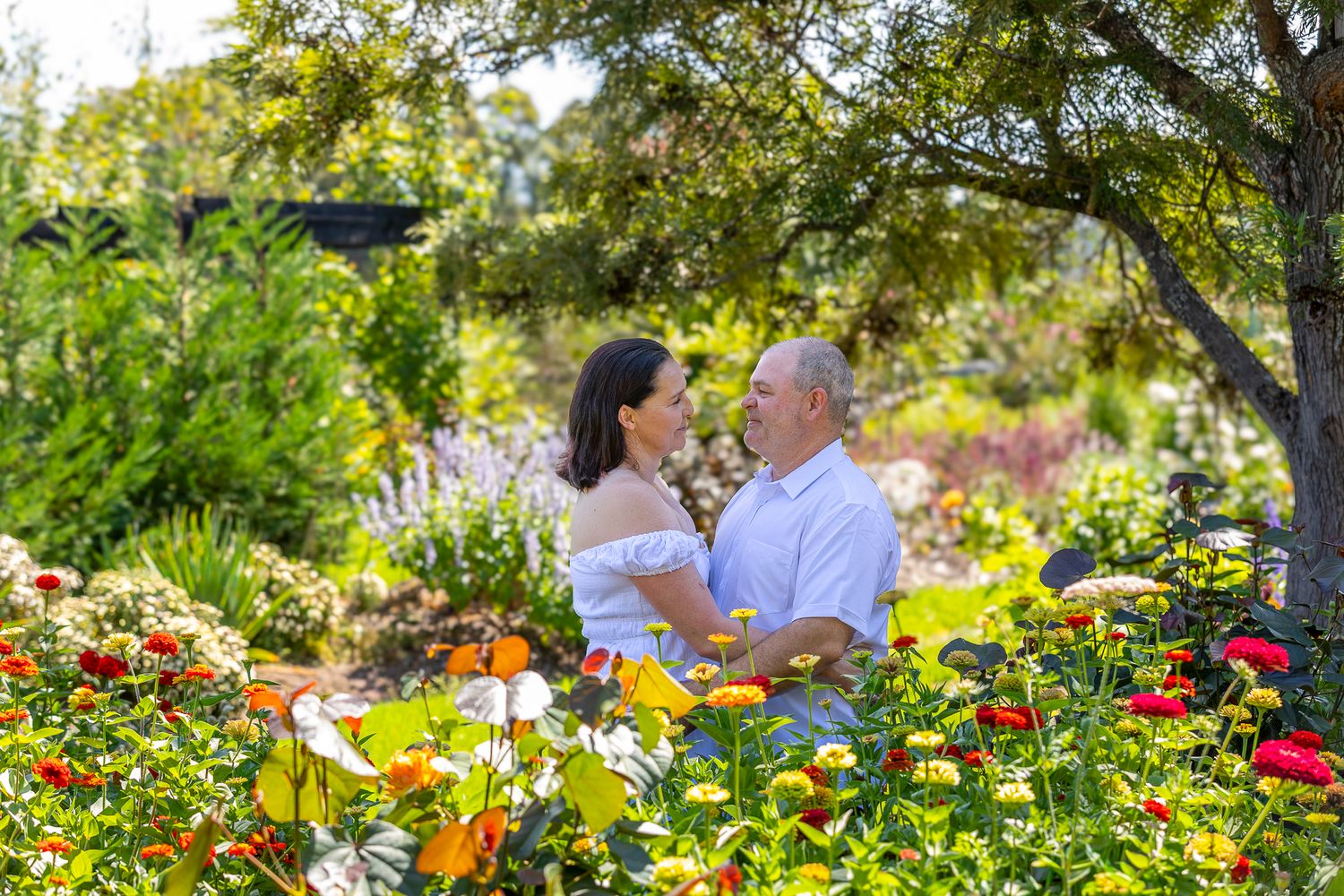 Couple embraces in a vibrant garden filled with colorful zinnias and wildflowers on a sunny afternoon.