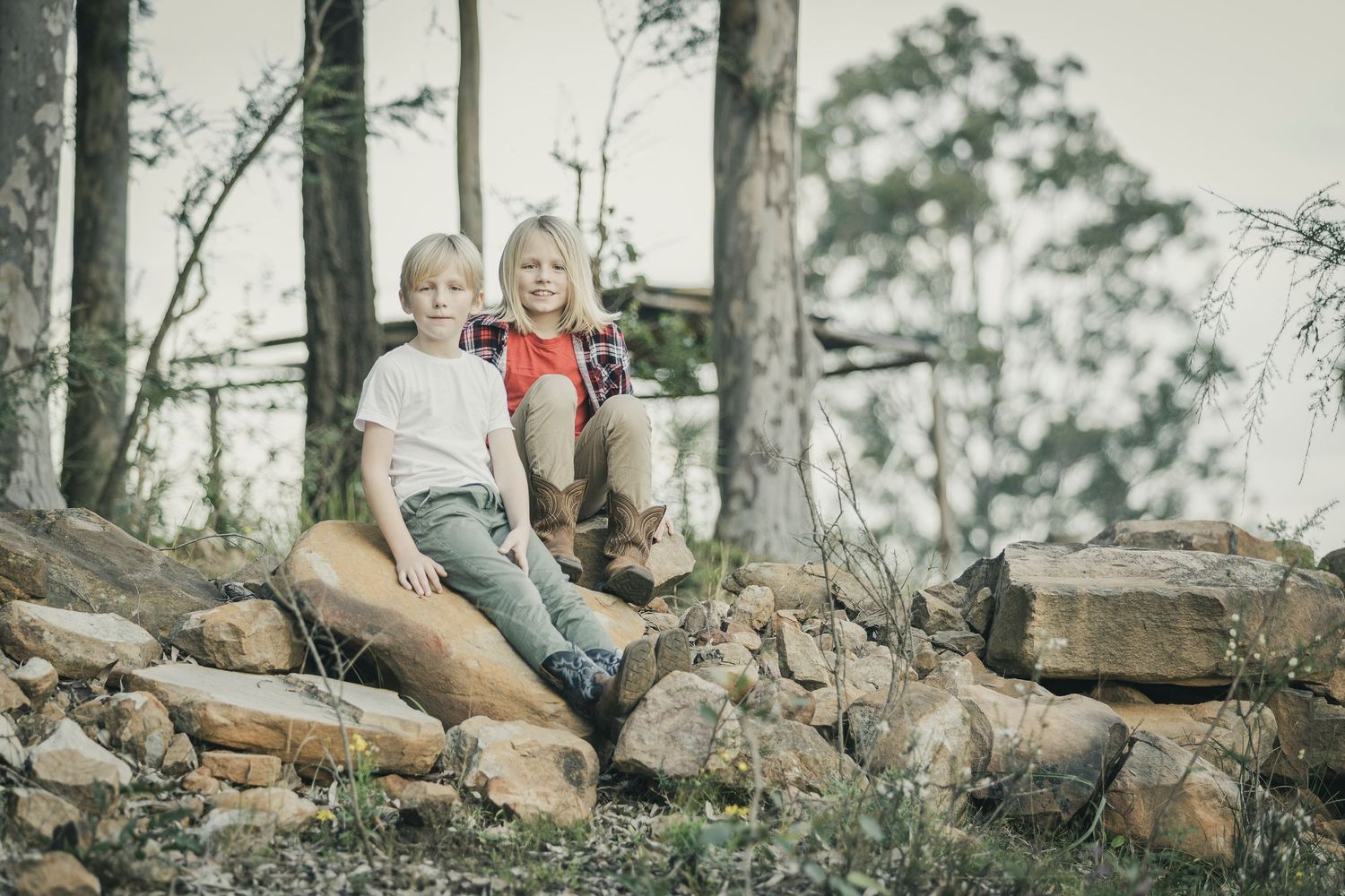 Two children sit together on rocky terrain surrounded by tall pine trees.