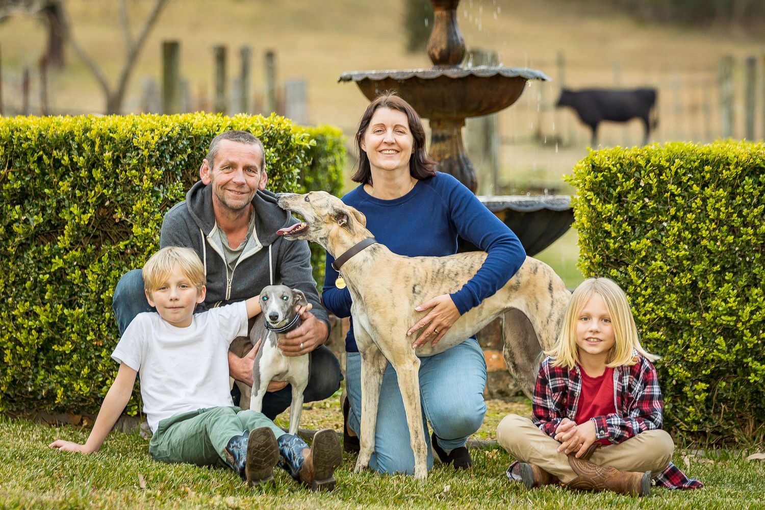 Family with dogs relaxing on grass in garden with trimmed boxwood hedges in background.