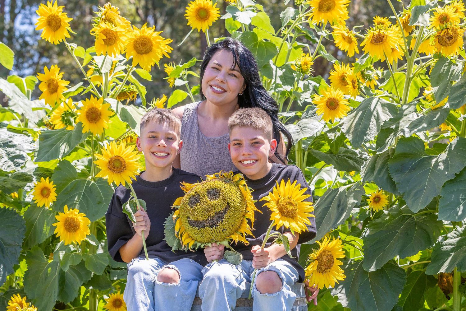 People enjoying a sunny day in a vibrant sunflower field with bright yellow blooms and green foliage.