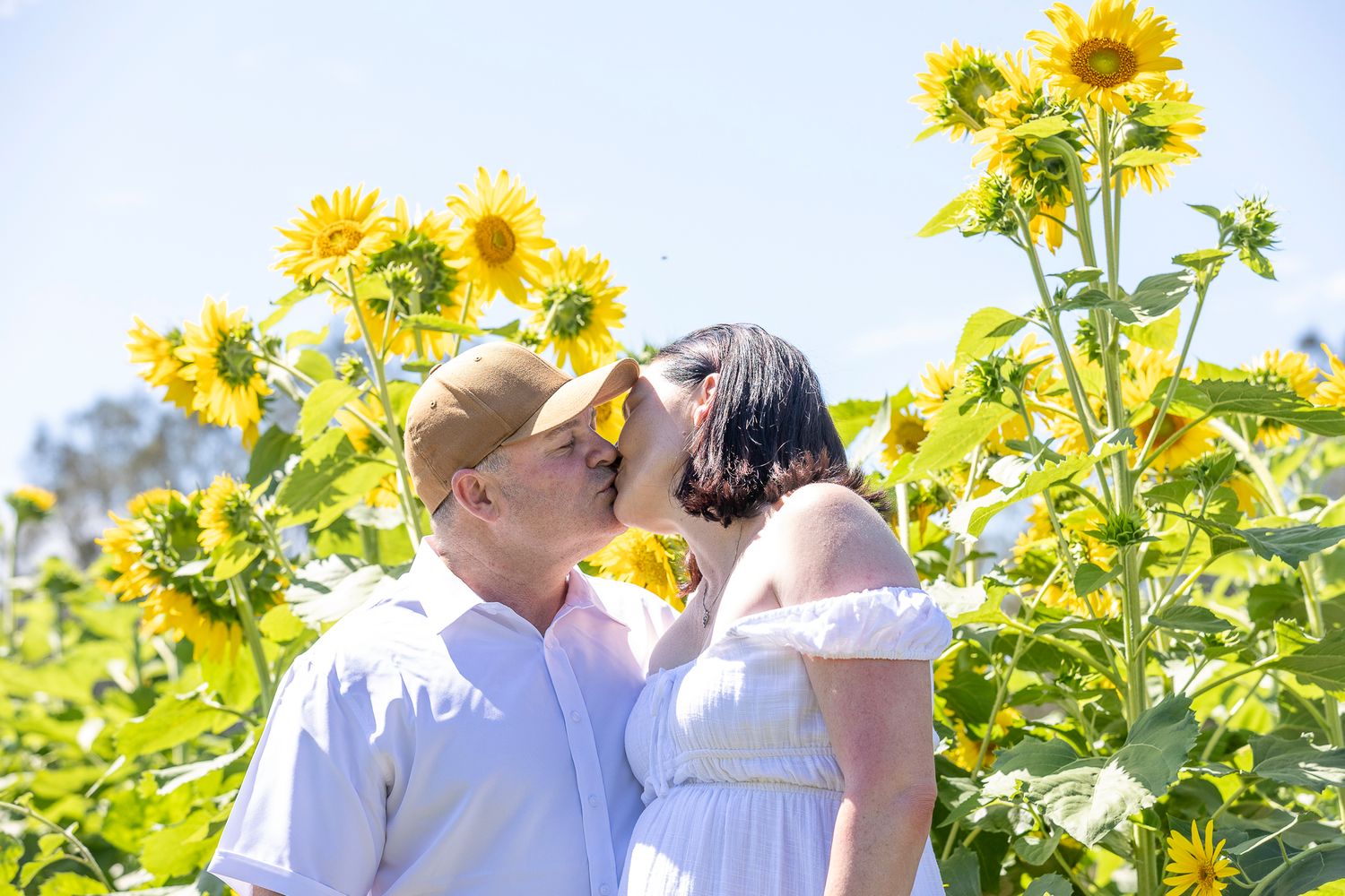 Couple kissing in a sunflower field on a sunny day, surrounded by bright yellow blooms and blue sky.