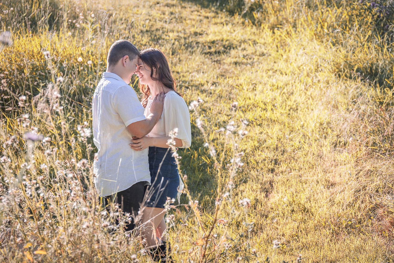 Photo link t o pricing. A romantic couple embraces in a sun-lit meadow of tall golden grass during a serene outdoor photo session.