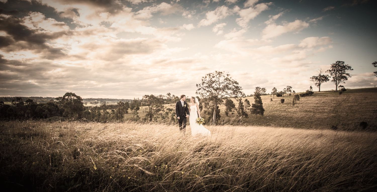 Silhouetted wedding couple stands in golden wheat field at sunset with trees on horizon in sepia tones.