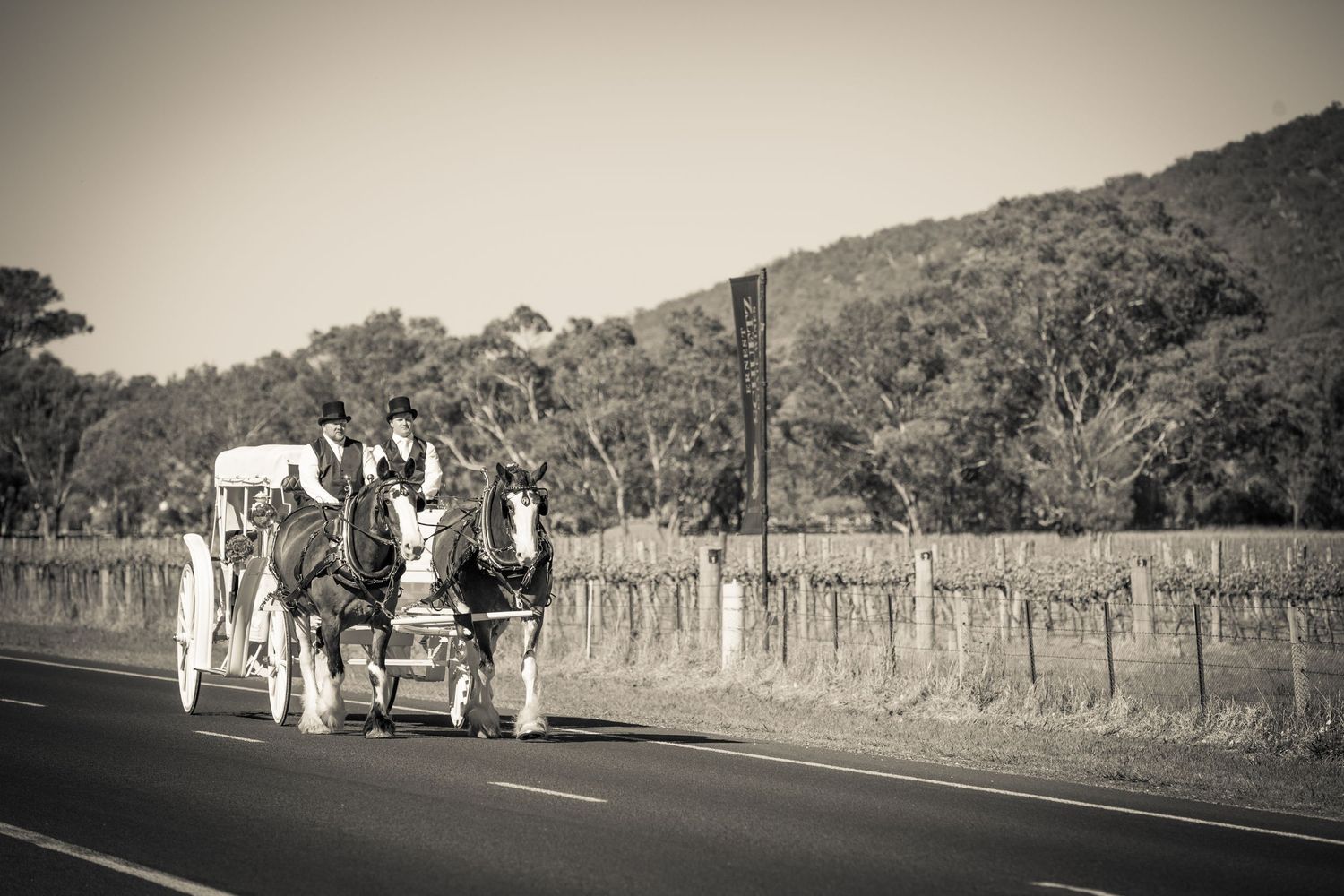 A vintage sepia photograph shows a horse-drawn carriage traveling along a rural road with trees and fencing.