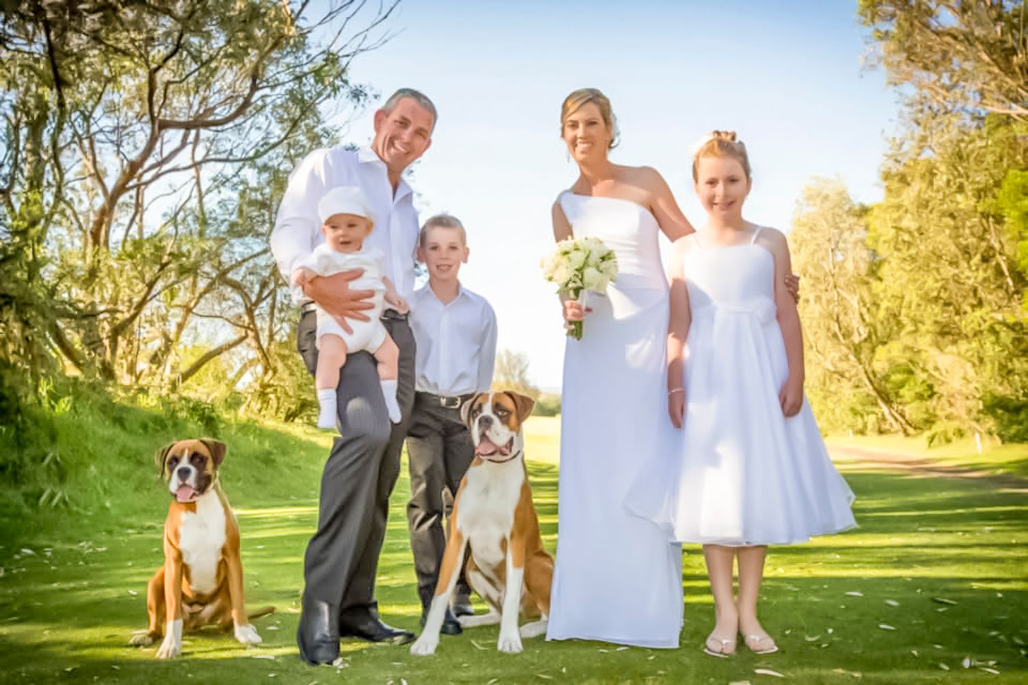 Wedding party stands on grass in golden sunlight with two dogs on leashes for outdoor family portrait.