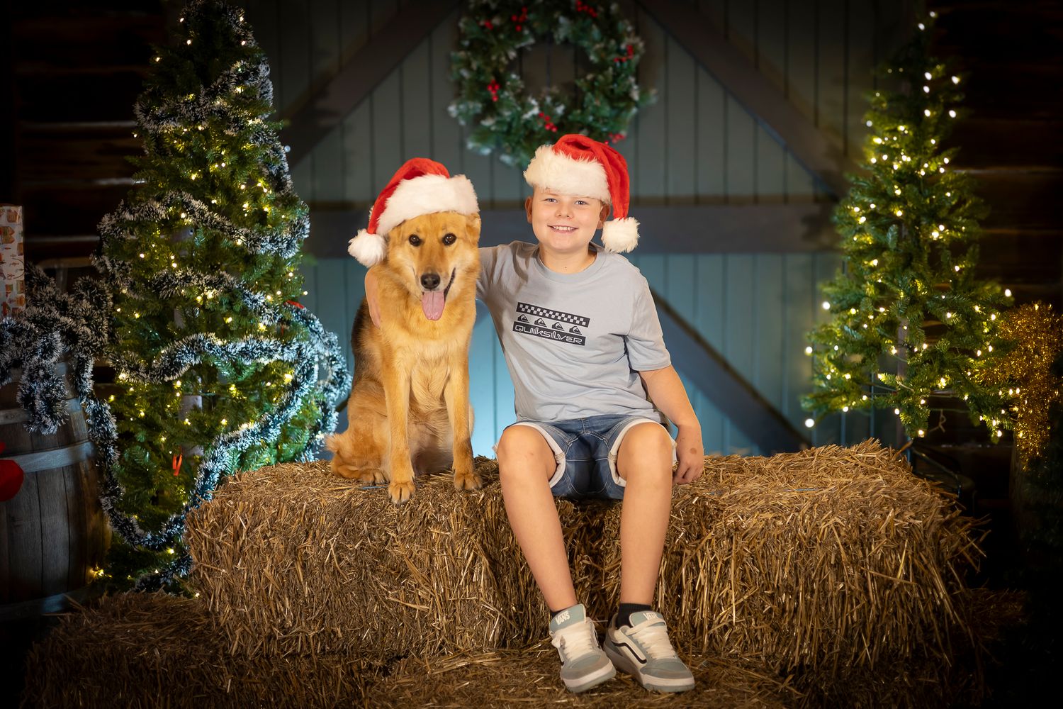 A German Shepard sits with a boy on hay bales surrounded by twinkling Christmas lights in a rustic setting. Christmas Photos