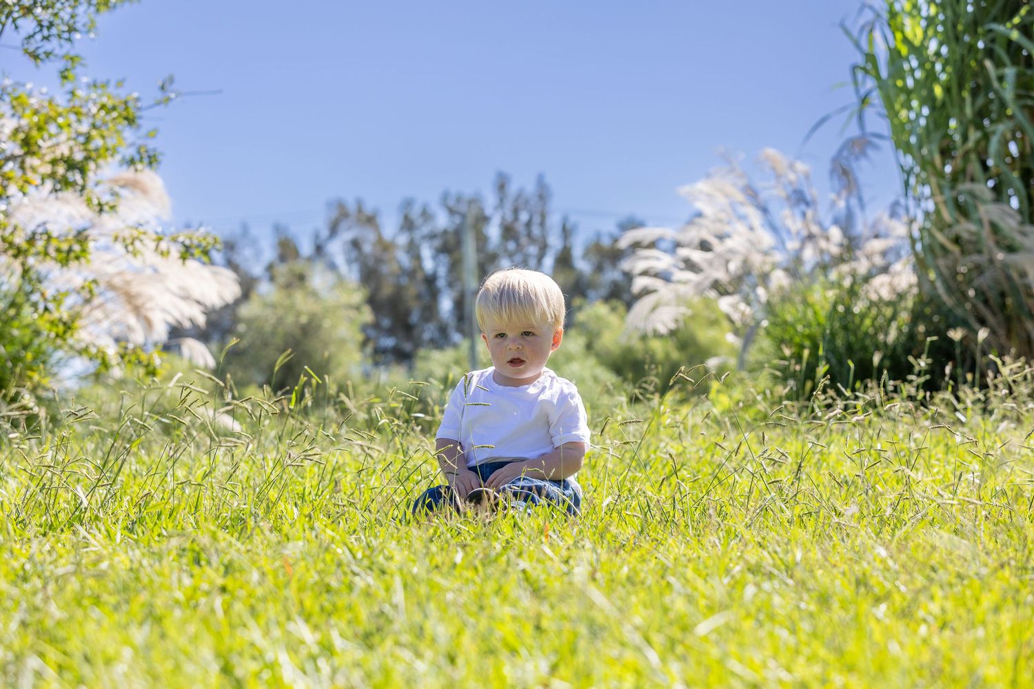 Toddler with blonde hair sitting in lush green grass outdoors on a sunny day with trees and blue sky.