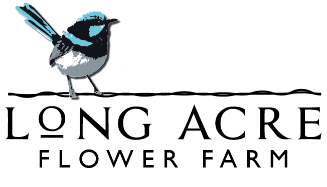 Long Acre Flower Farm logo featuring a colorful fairy wren bird perched above elegant black serif typography.