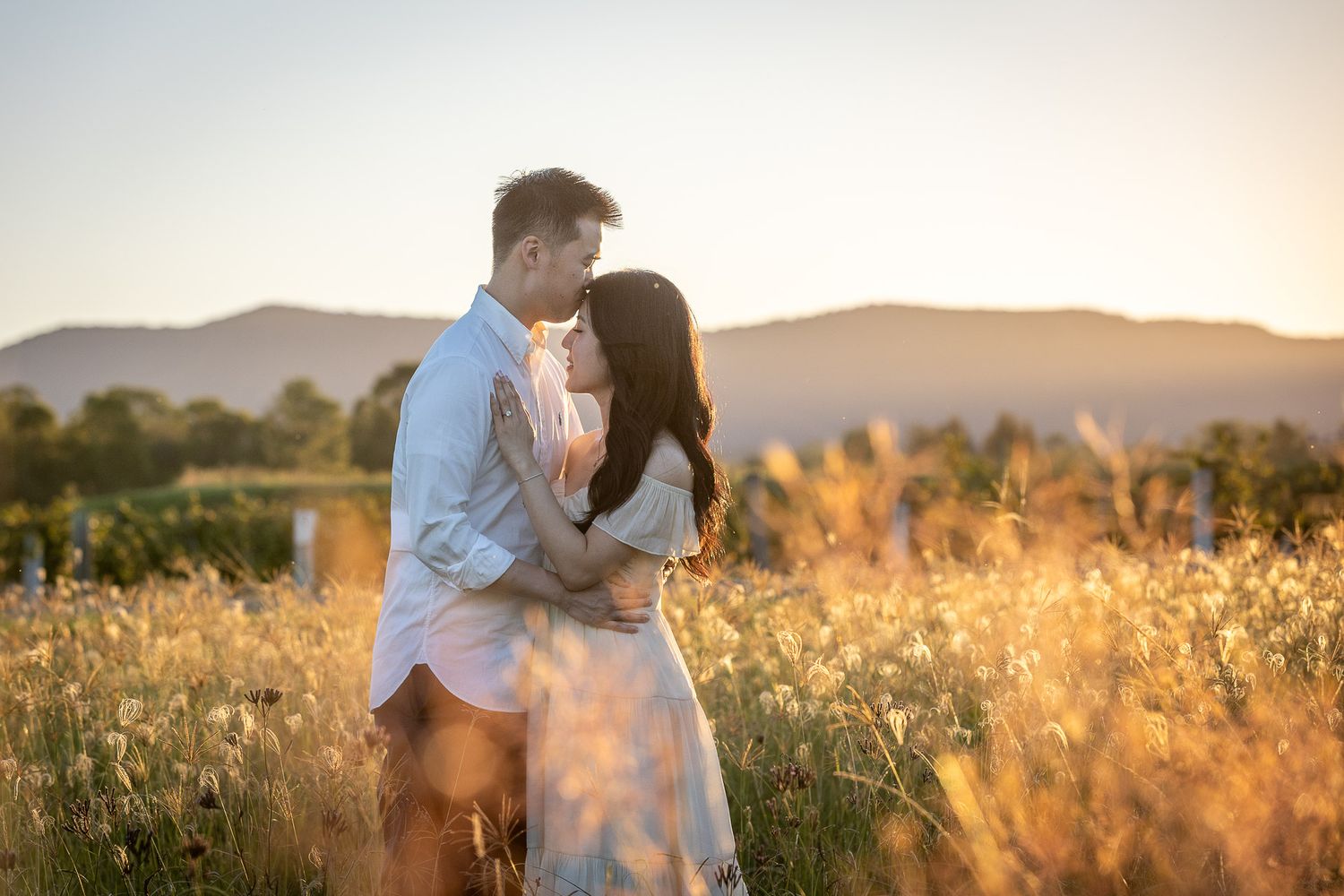 Couple embracing in golden field at sunset with mountains in background.