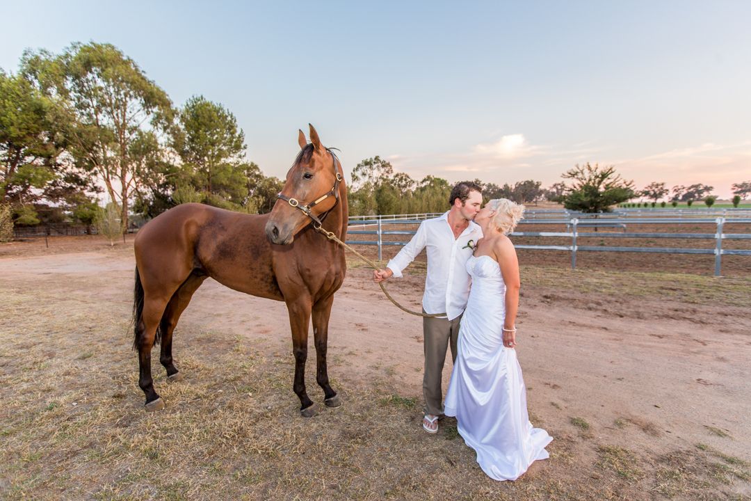 A horse handler with his bride in a white dress interacts with a brown horse in an outdoor ranch setting during sunset.