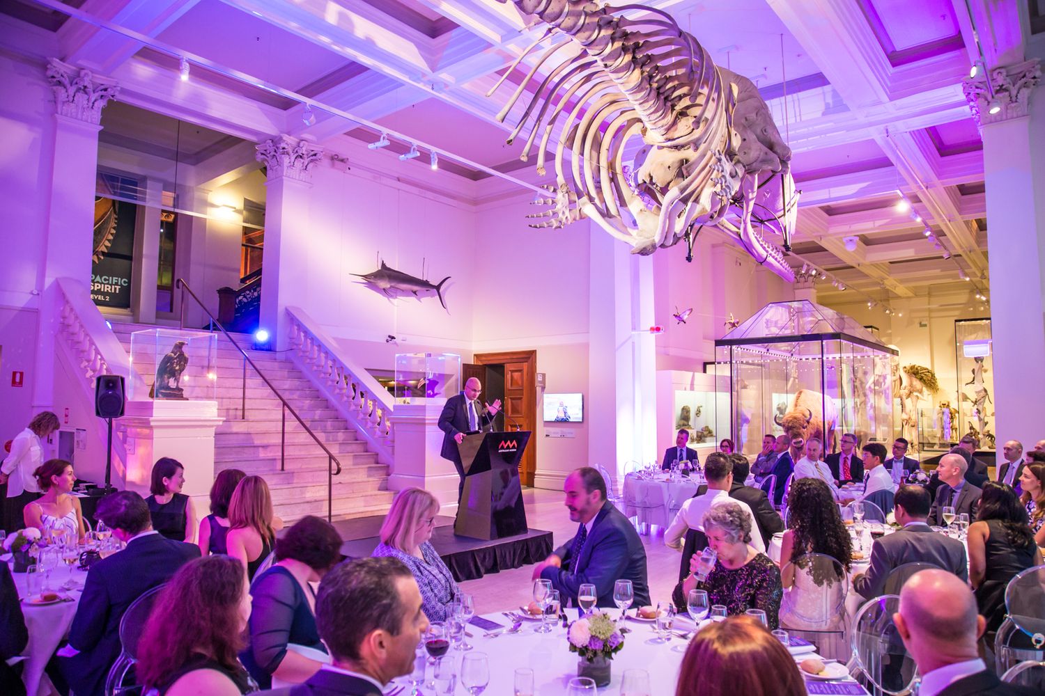 Elegant dinner party under a whale skeleton in a purple-lit museum hall with guests seated at formal tables.