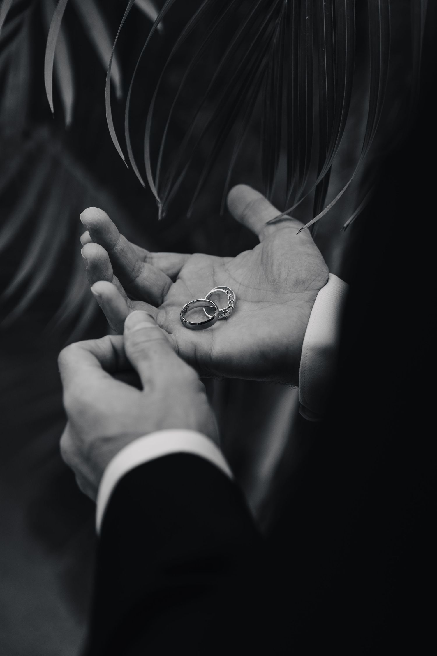 Wedding rings held in palm against tropical leaves in black and white.