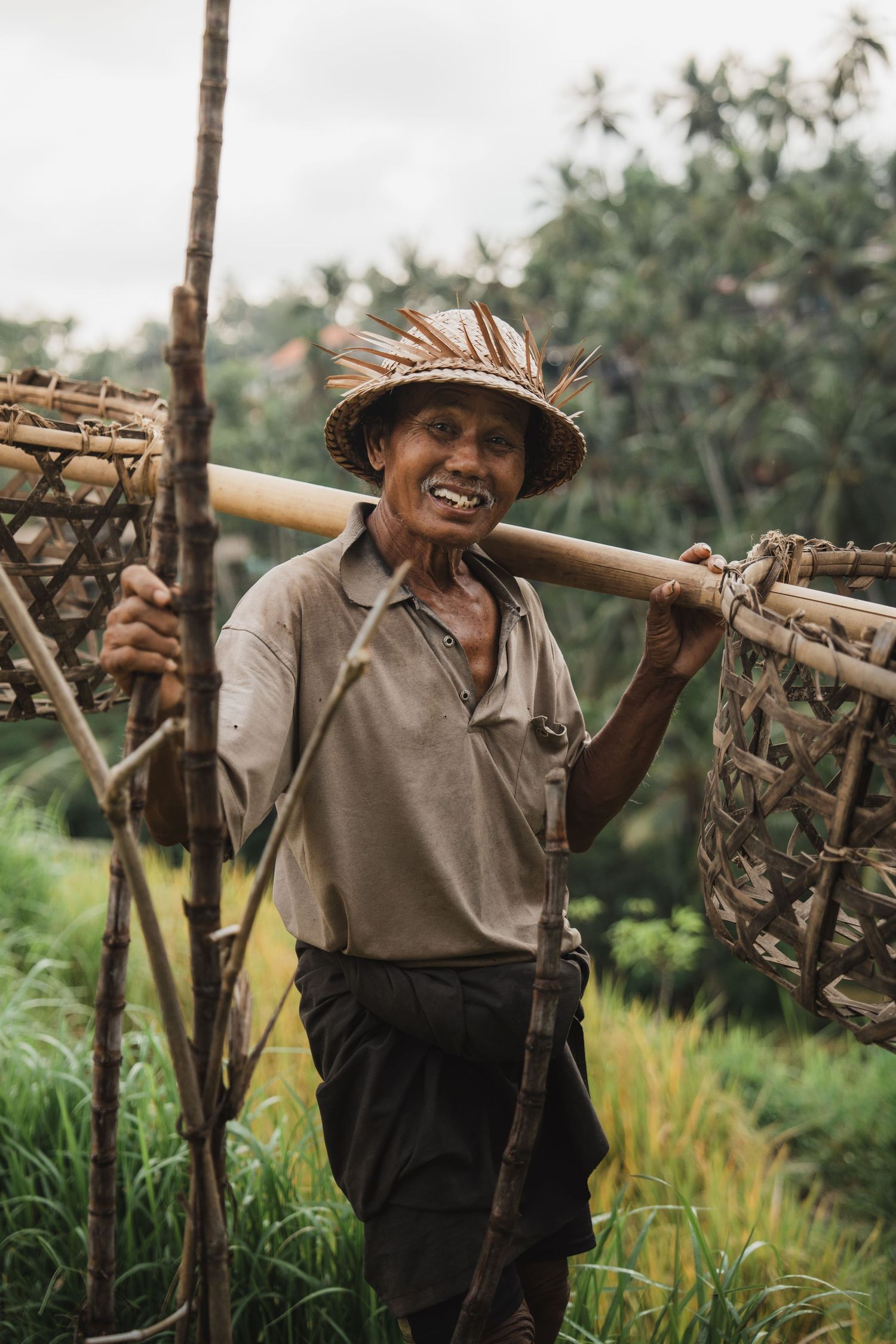 Local worker carrying harvesting tools through tropical rice fields.