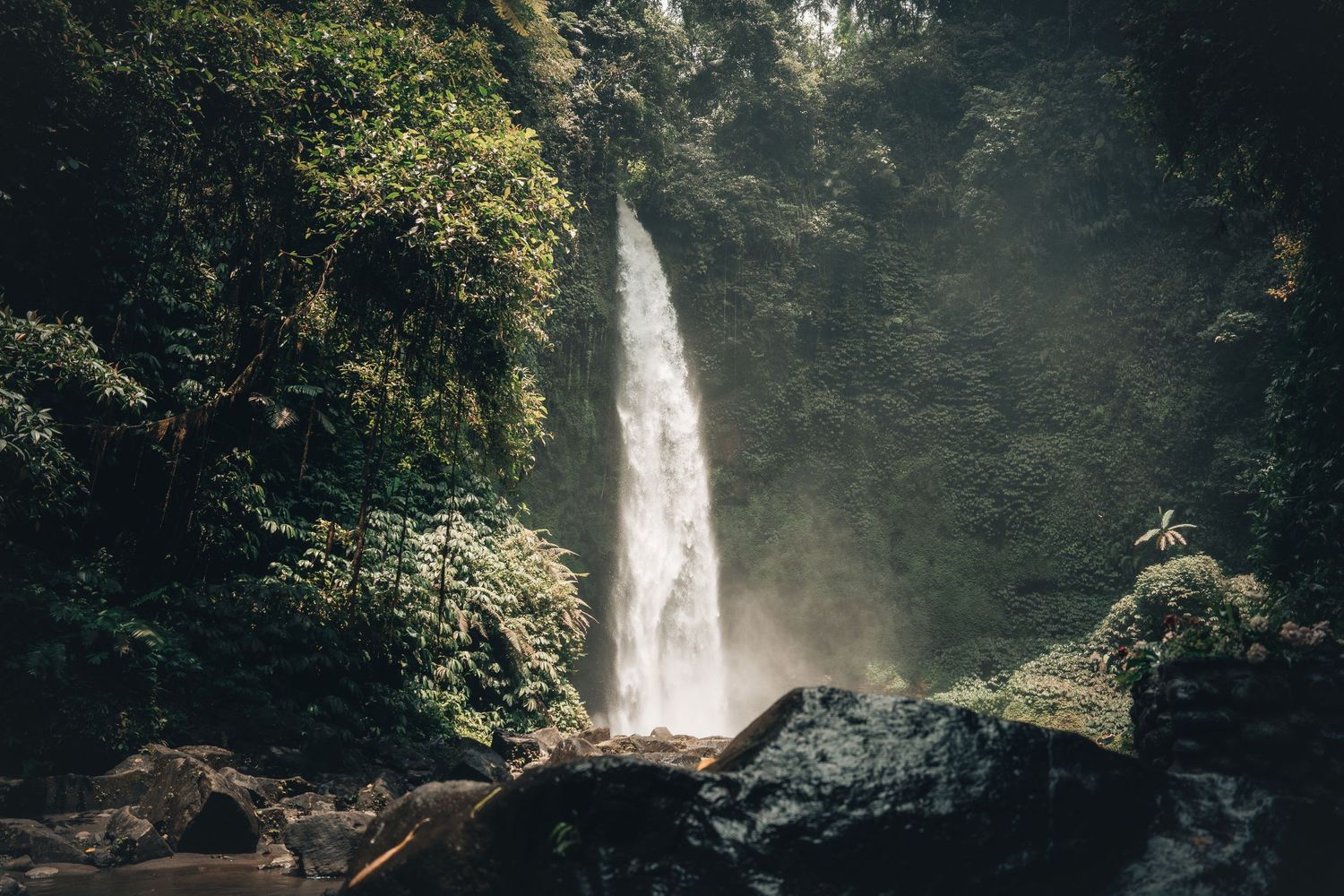Majestic tropical waterfall cascading through lush rainforest scenery.