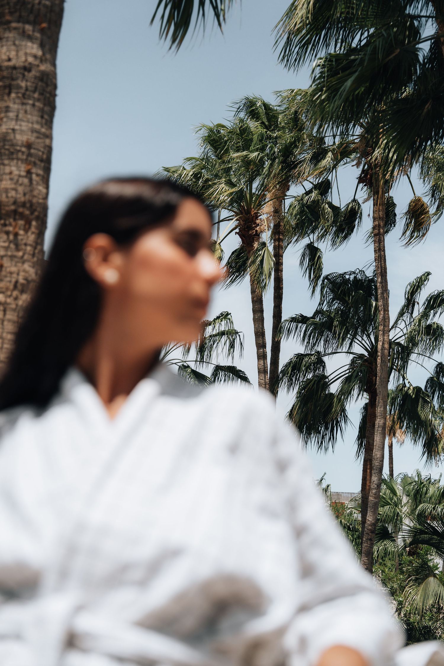 Sequence of dreamy palm tree shots with soft focus and natural lighting.