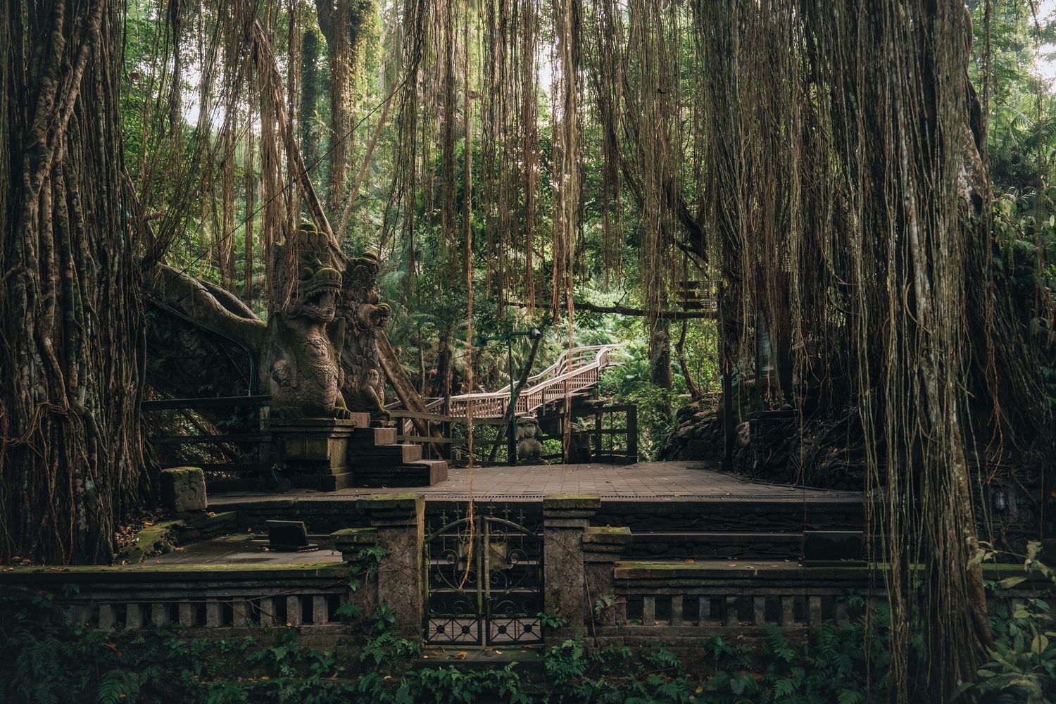 Forest temple path lined with hanging vines and stone structures.