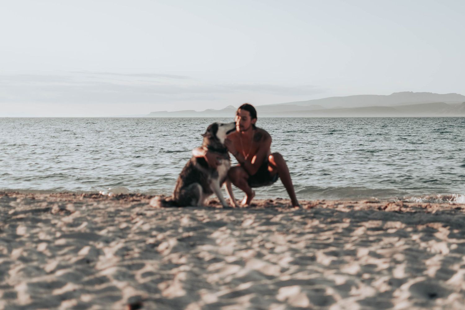 Playful moment at the beach with a couple and their dog.
