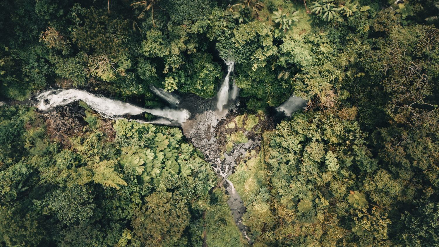 Bird's eye view of waterfall splitting through dense jungle landscape from high above.