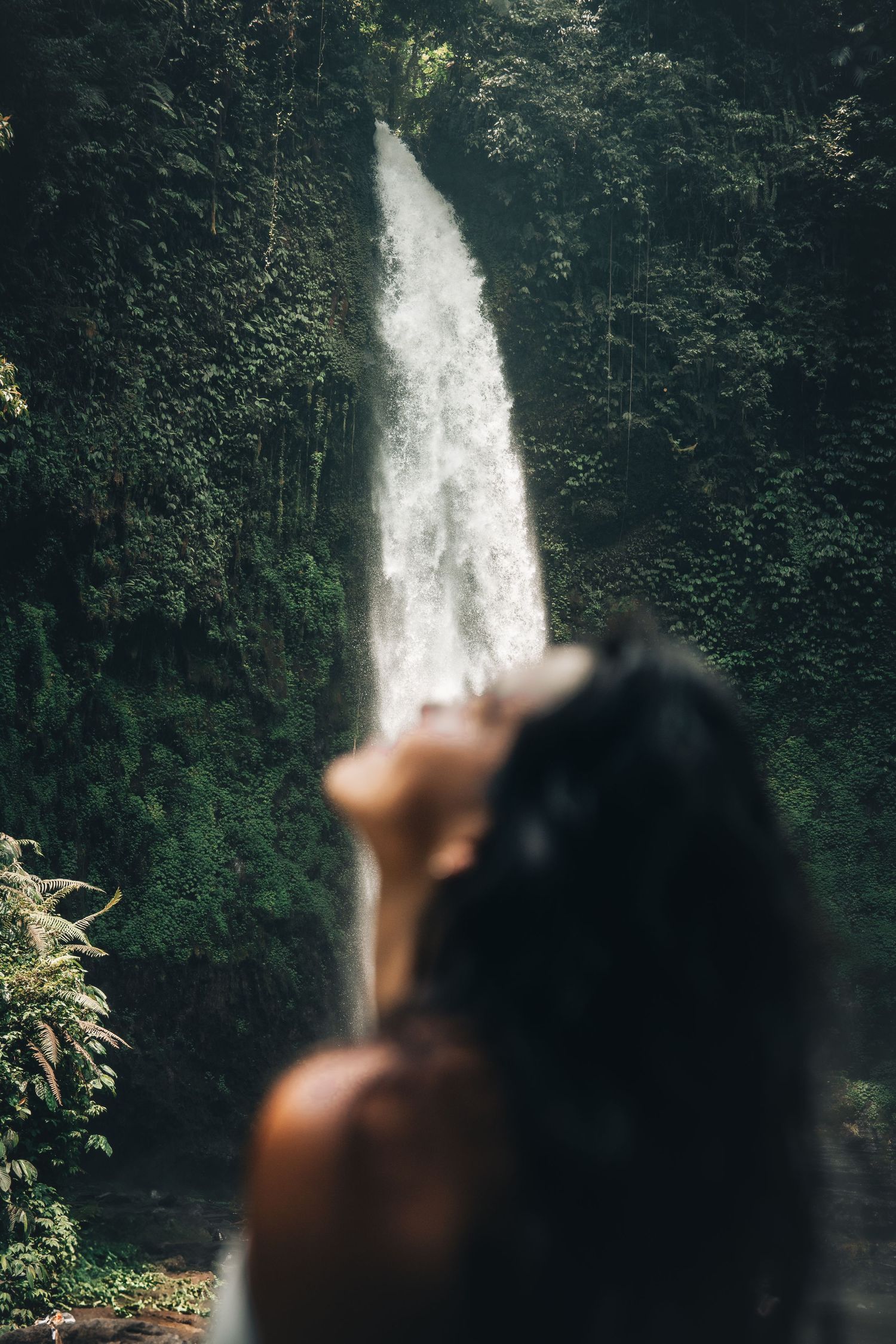 Person looking up at dramatic waterfall through dense tropical foliage.