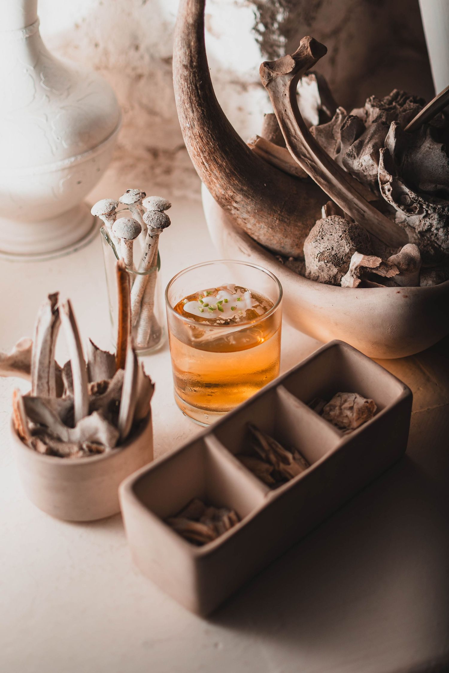 Moody still life with vintage animal bones, amber cocktail, and sectioned display boxes on a light surface.