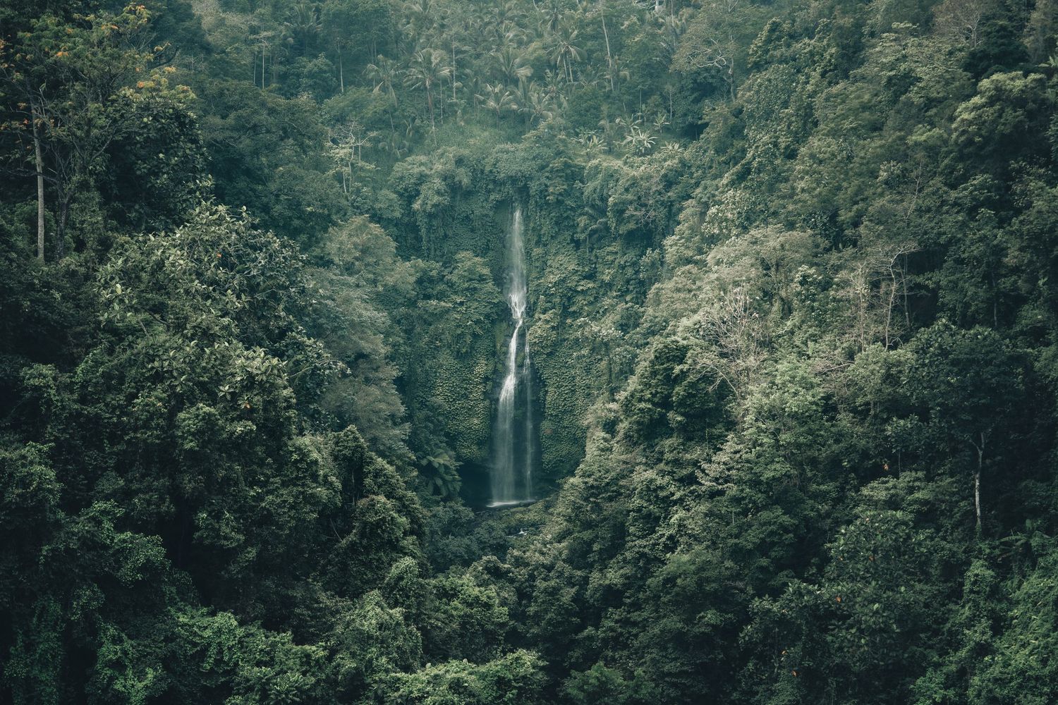Tall cascading waterfall flows through dense tropical rainforest in misty conditions.