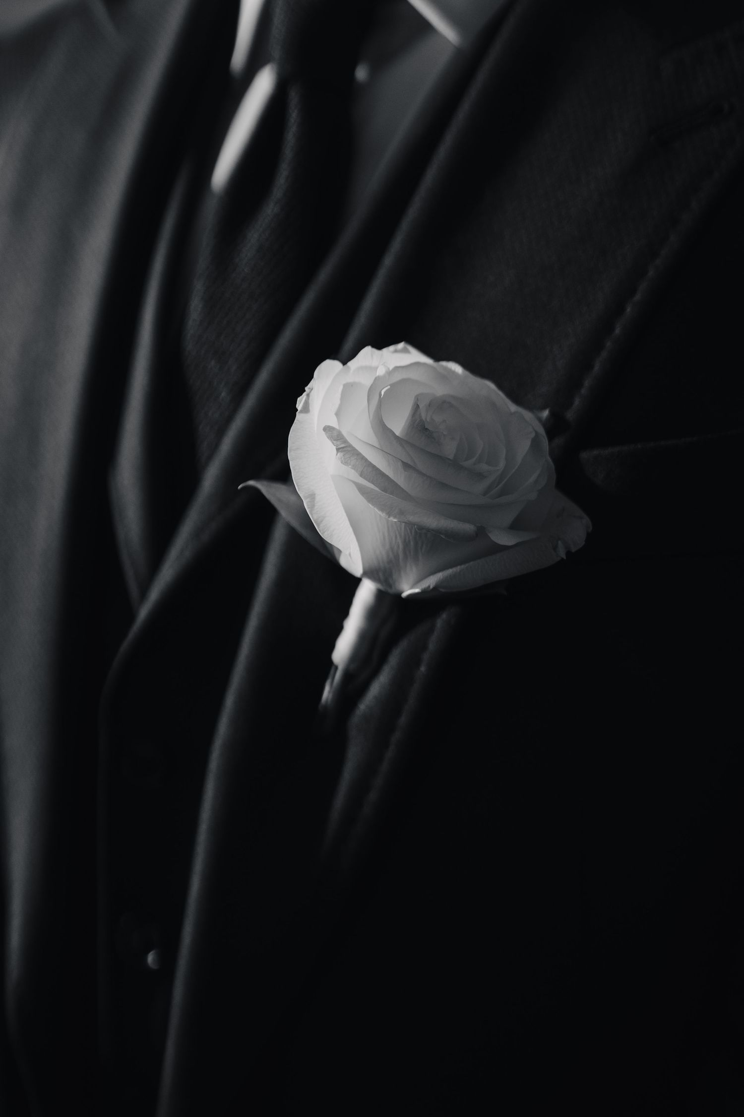 A white rose boutonniere pinned to a dark formal suit jacket.